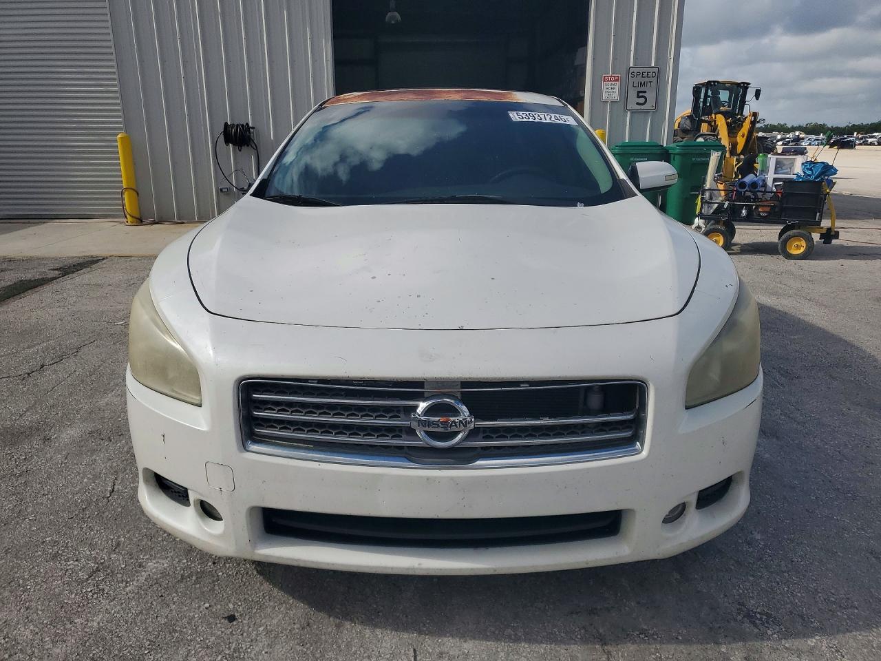 2009 Nissan Maxima 3.5 S White vin: 1N4AA51E99C805053