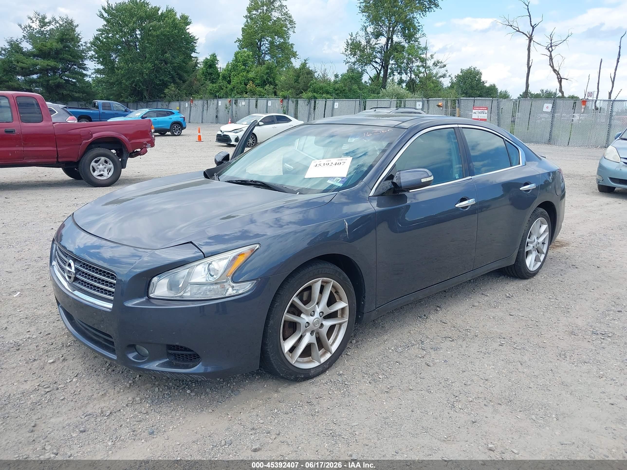 2009 Nissan Maxima 3.5 Sv Gray vin: 1N4AA51E99C806476