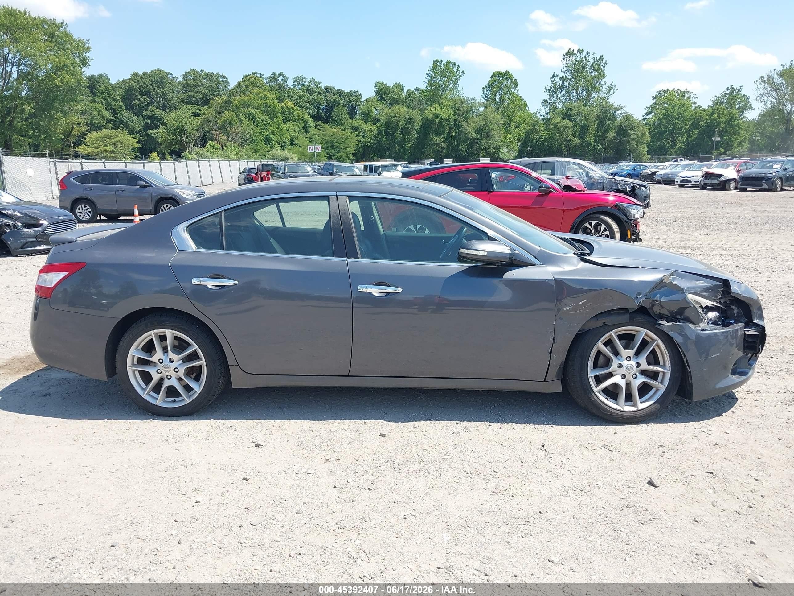 2009 Nissan Maxima 3.5 Sv Gray vin: 1N4AA51E99C806476