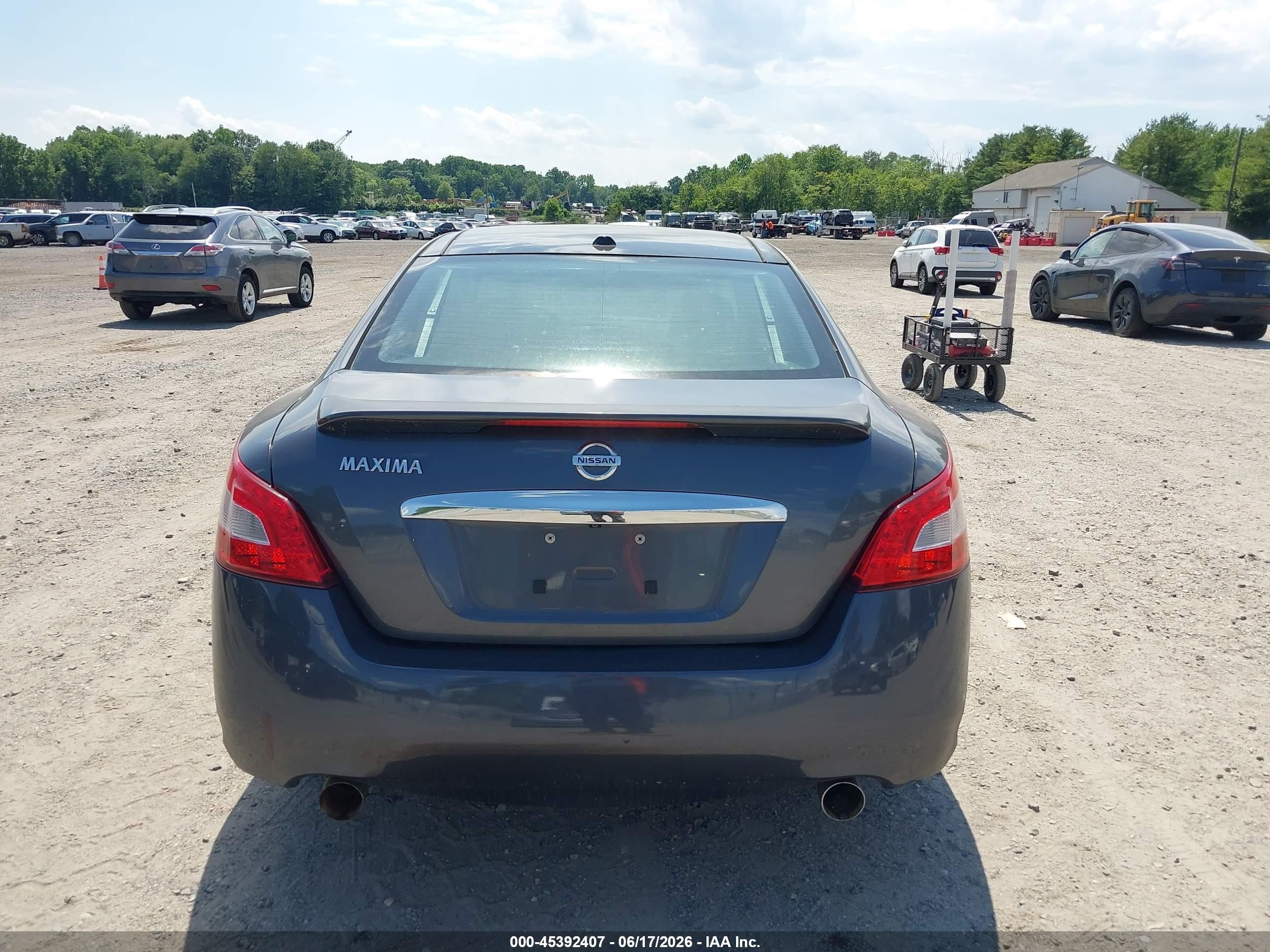 2009 Nissan Maxima 3.5 Sv Gray vin: 1N4AA51E99C806476