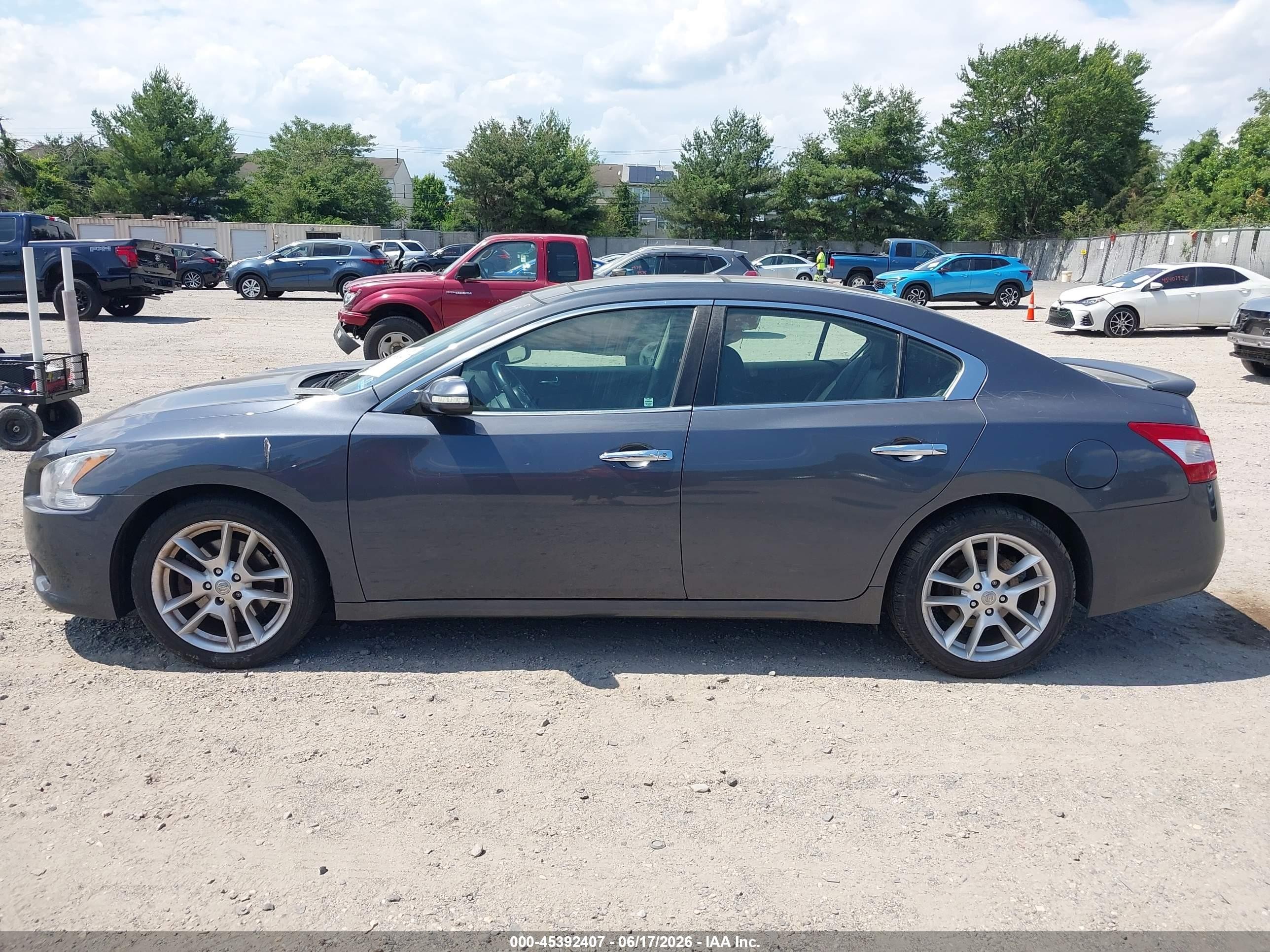2009 Nissan Maxima 3.5 Sv Gray vin: 1N4AA51E99C806476