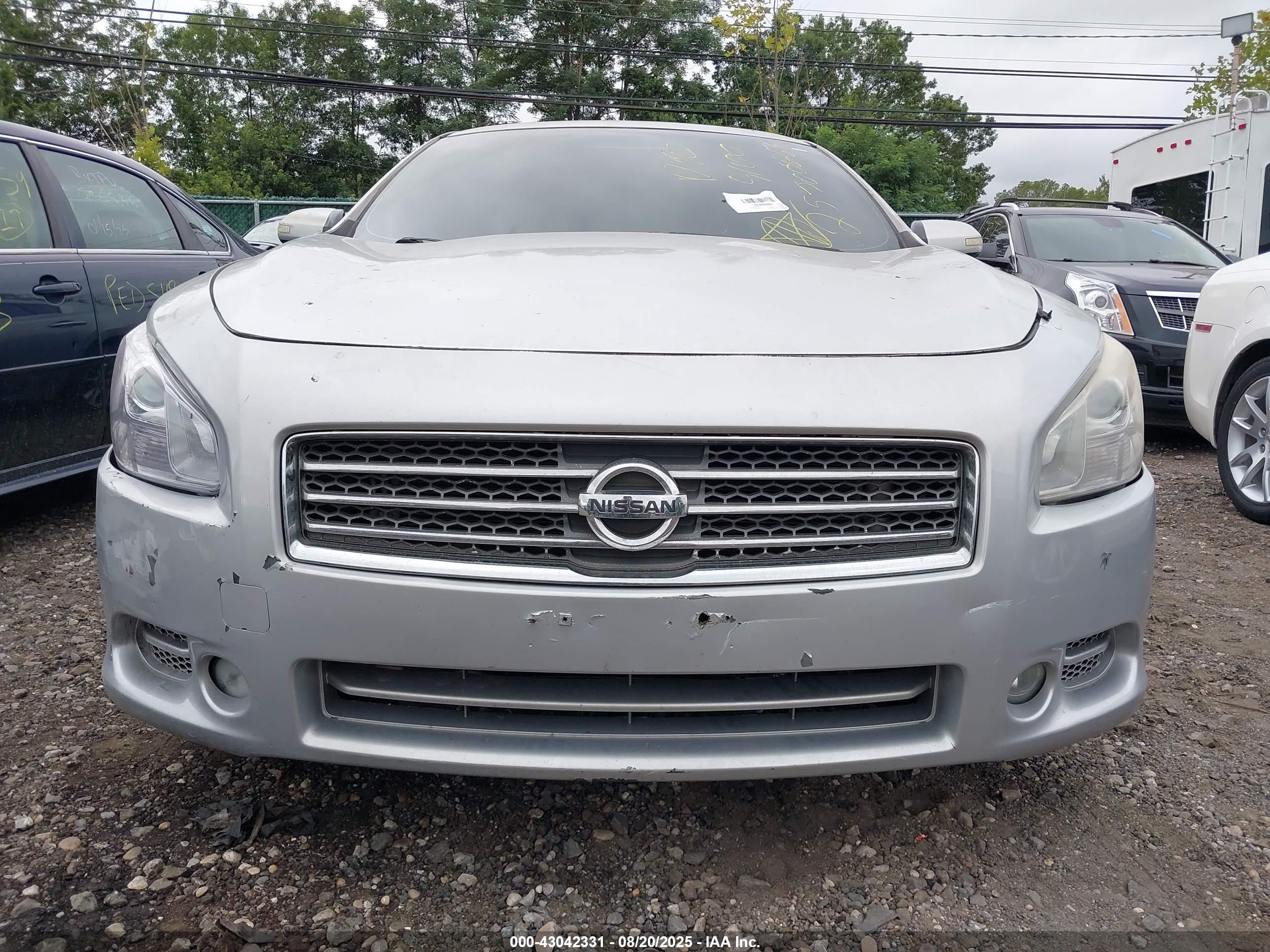 2009 Nissan Maxima 3.5 Sv Серебряный vin: 1N4AA51EX9C800752
