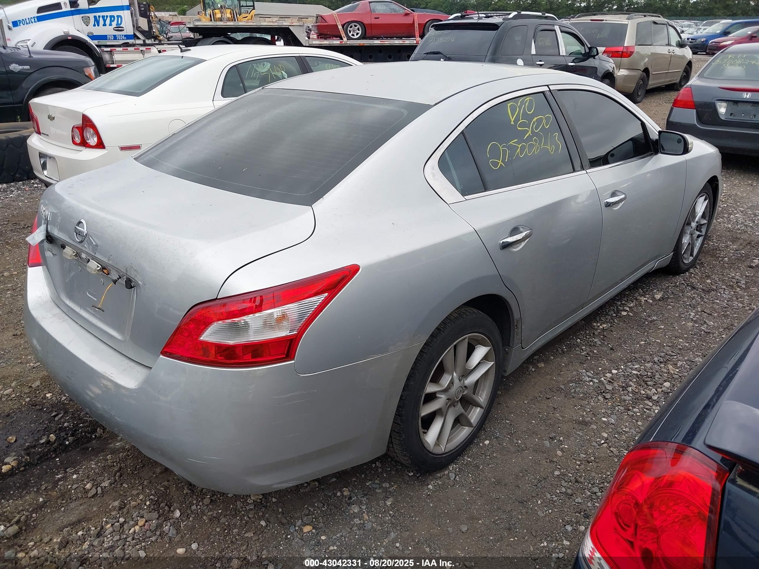 2009 Nissan Maxima 3.5 Sv Серебряный vin: 1N4AA51EX9C800752