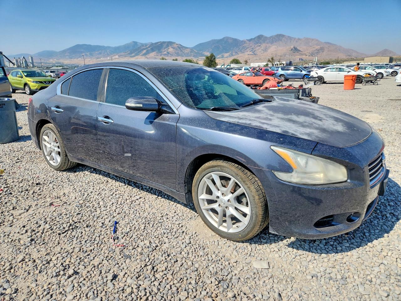 2009 Nissan Maxima 3.5 S Gray vin: 1N4AA51EX9C802369