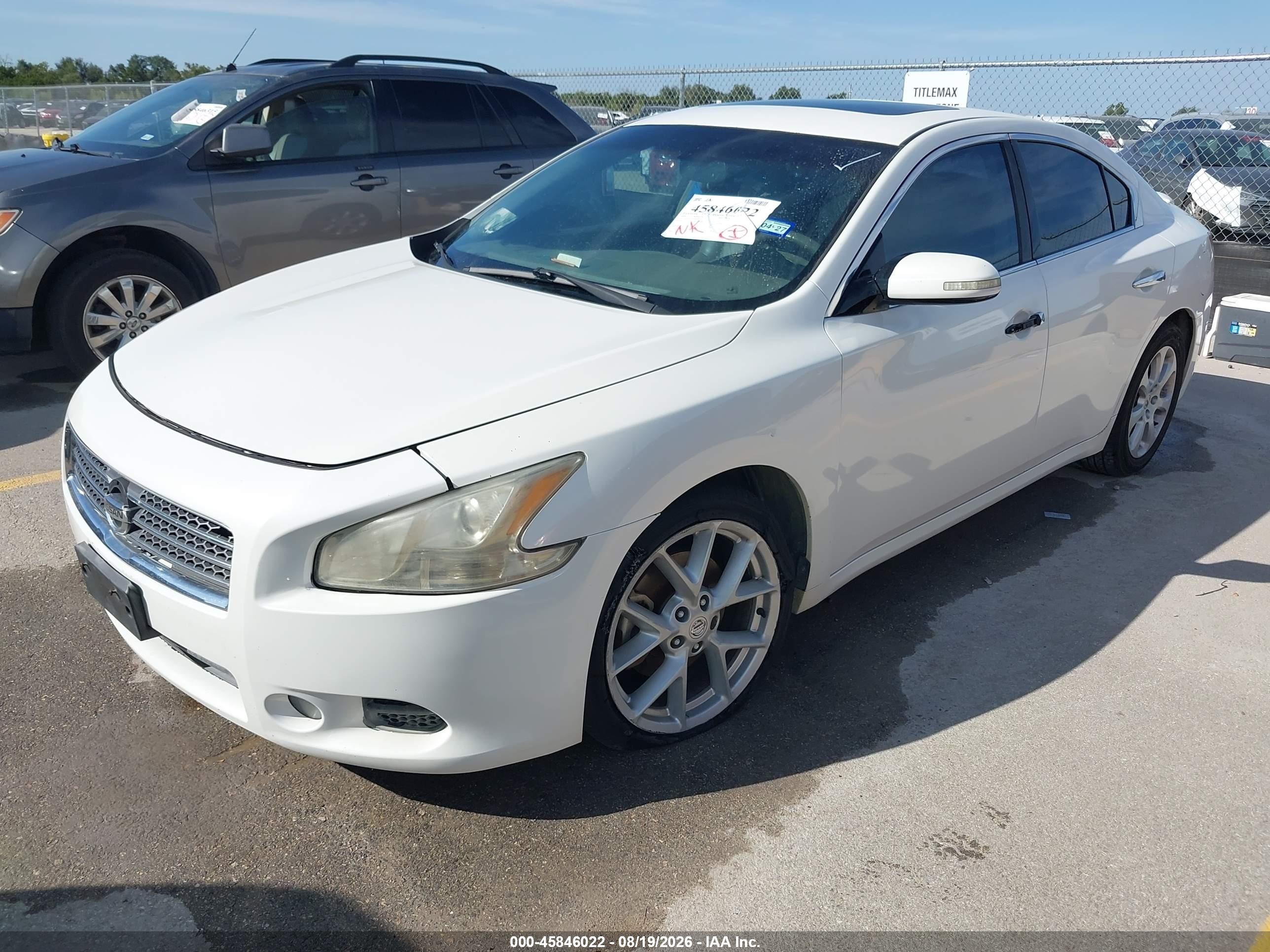2009 Nissan Maxima 3.5 Sv White vin: 1N4AA51EX9C814733