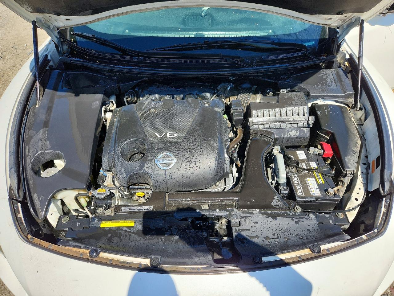 2009 Nissan Maxima S/sv Белый vin: 1N4AA51EX9C830575