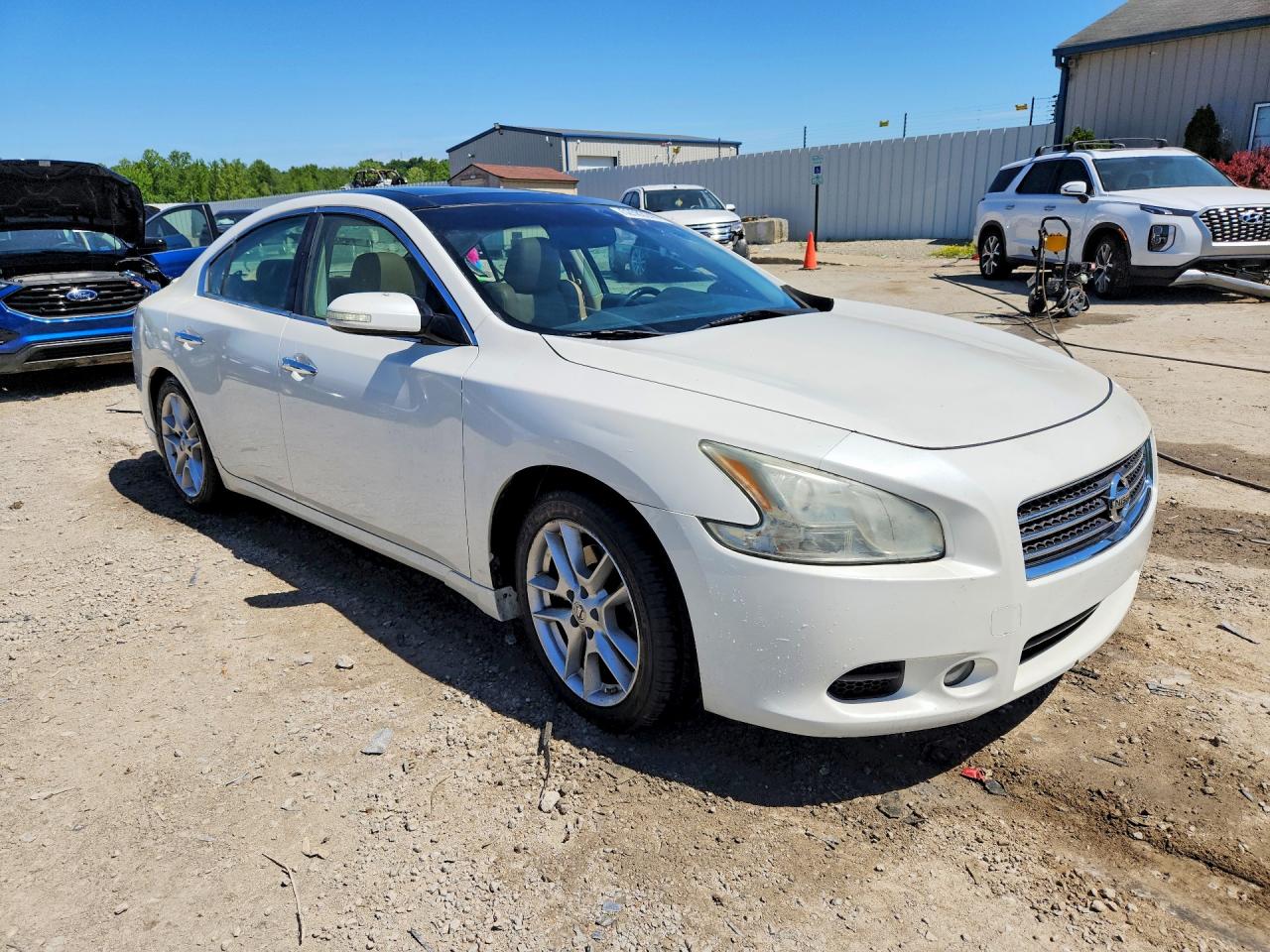 2009 Nissan Maxima S/sv Белый vin: 1N4AA51EX9C830575