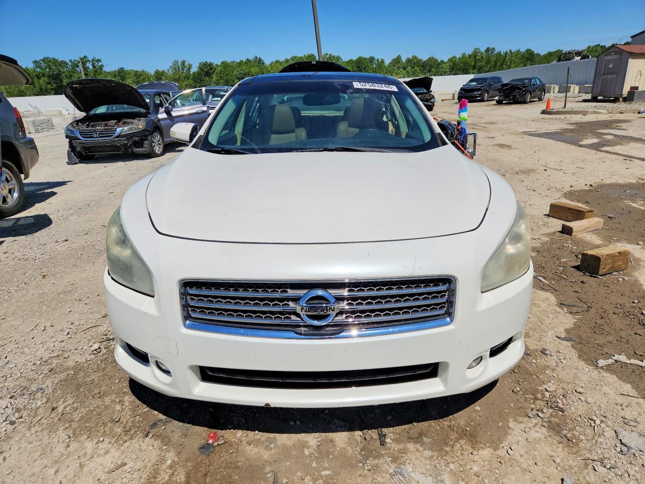 2009 Nissan Maxima S/sv Белый vin: 1N4AA51EX9C830575
