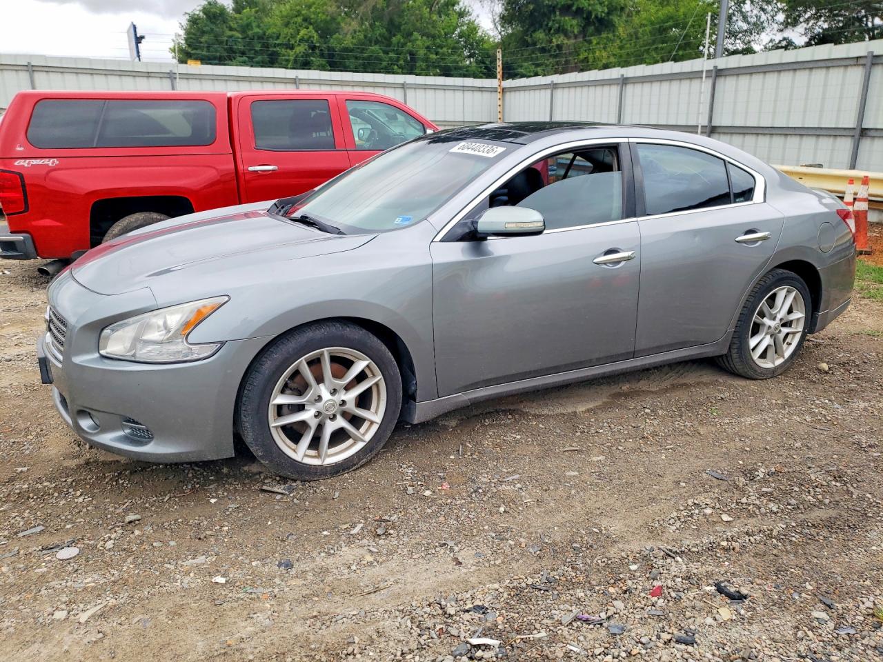 2009 Nissan Maxima 3.5 S Silver vin: 1N4AA51EX9C831886