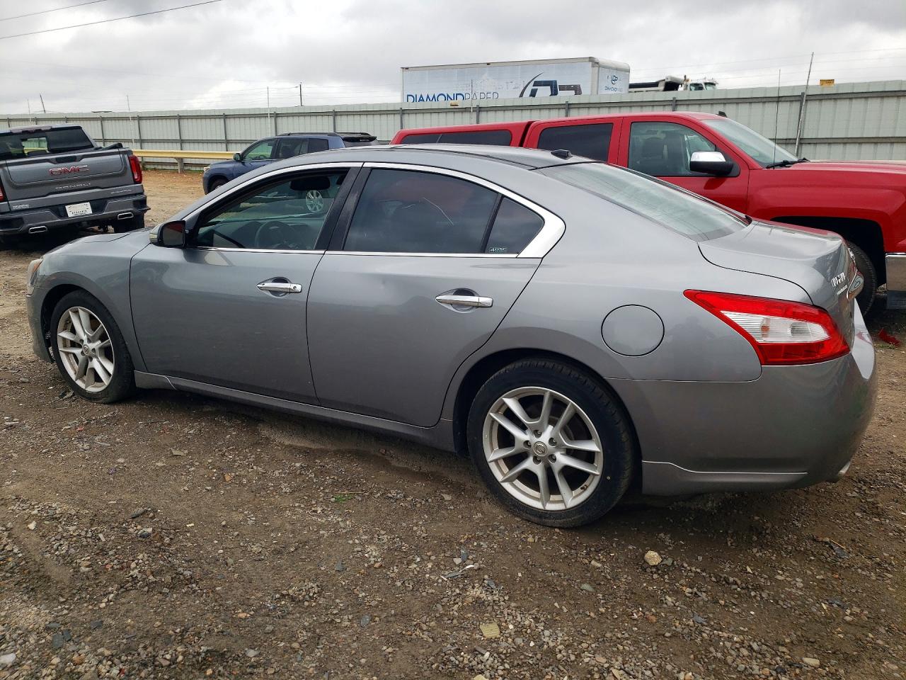 2009 Nissan Maxima 3.5 S Серебряный vin: 1N4AA51EX9C831886