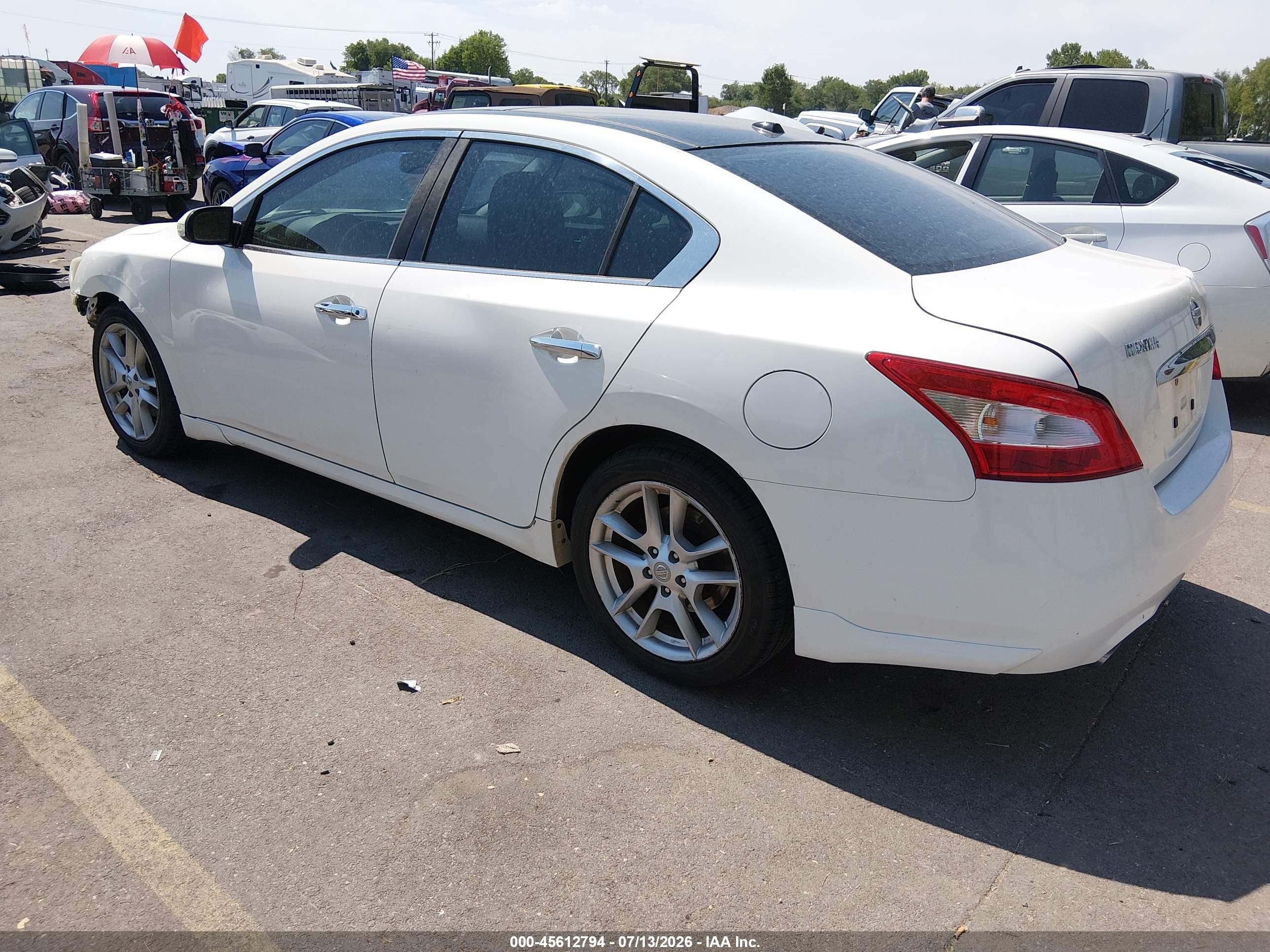2009 Nissan Maxima 3.5 Sv White vin: 1N4AA51EX9C848820