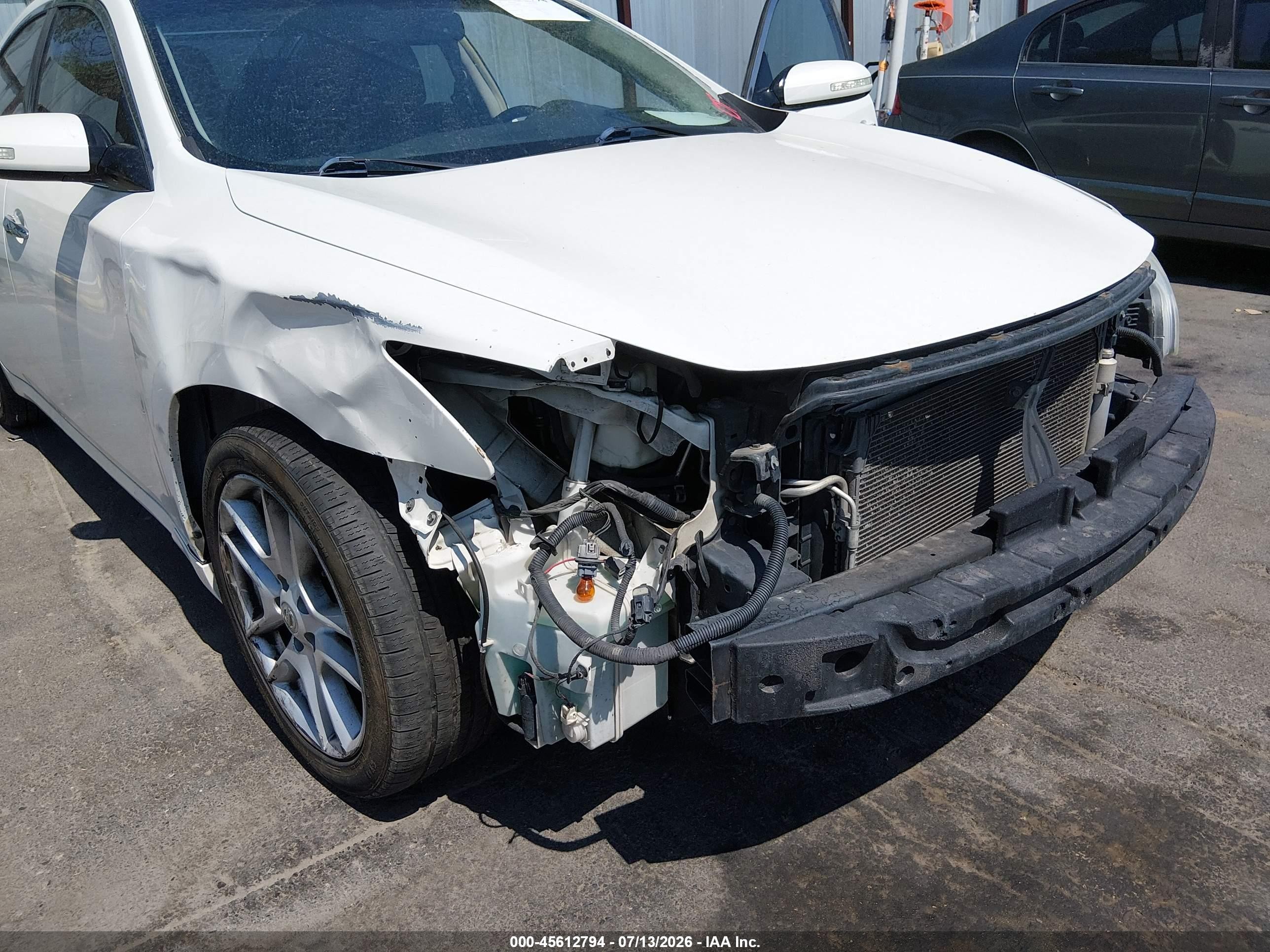 2009 Nissan Maxima 3.5 Sv White vin: 1N4AA51EX9C848820