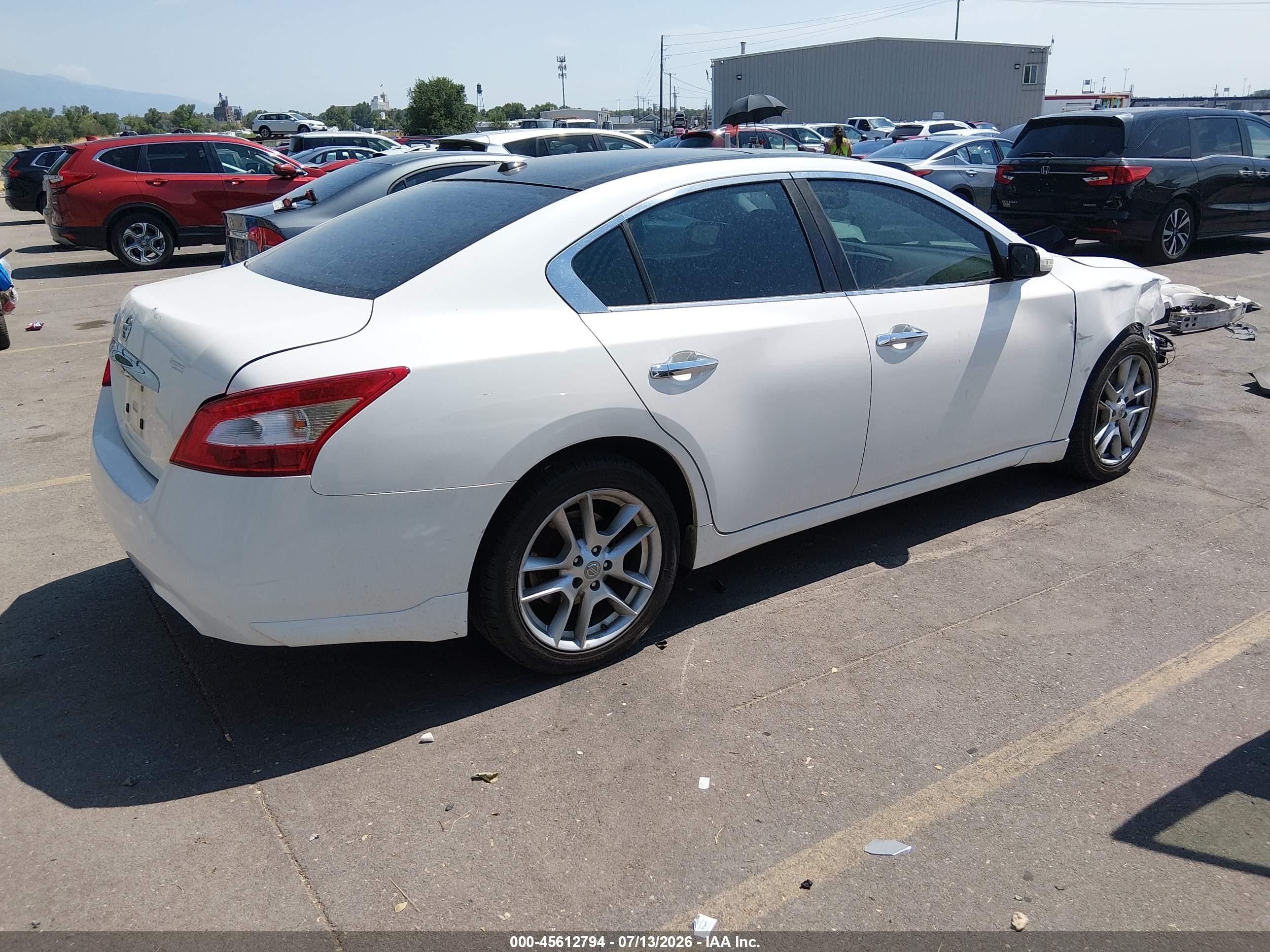 2009 Nissan Maxima 3.5 Sv White vin: 1N4AA51EX9C848820