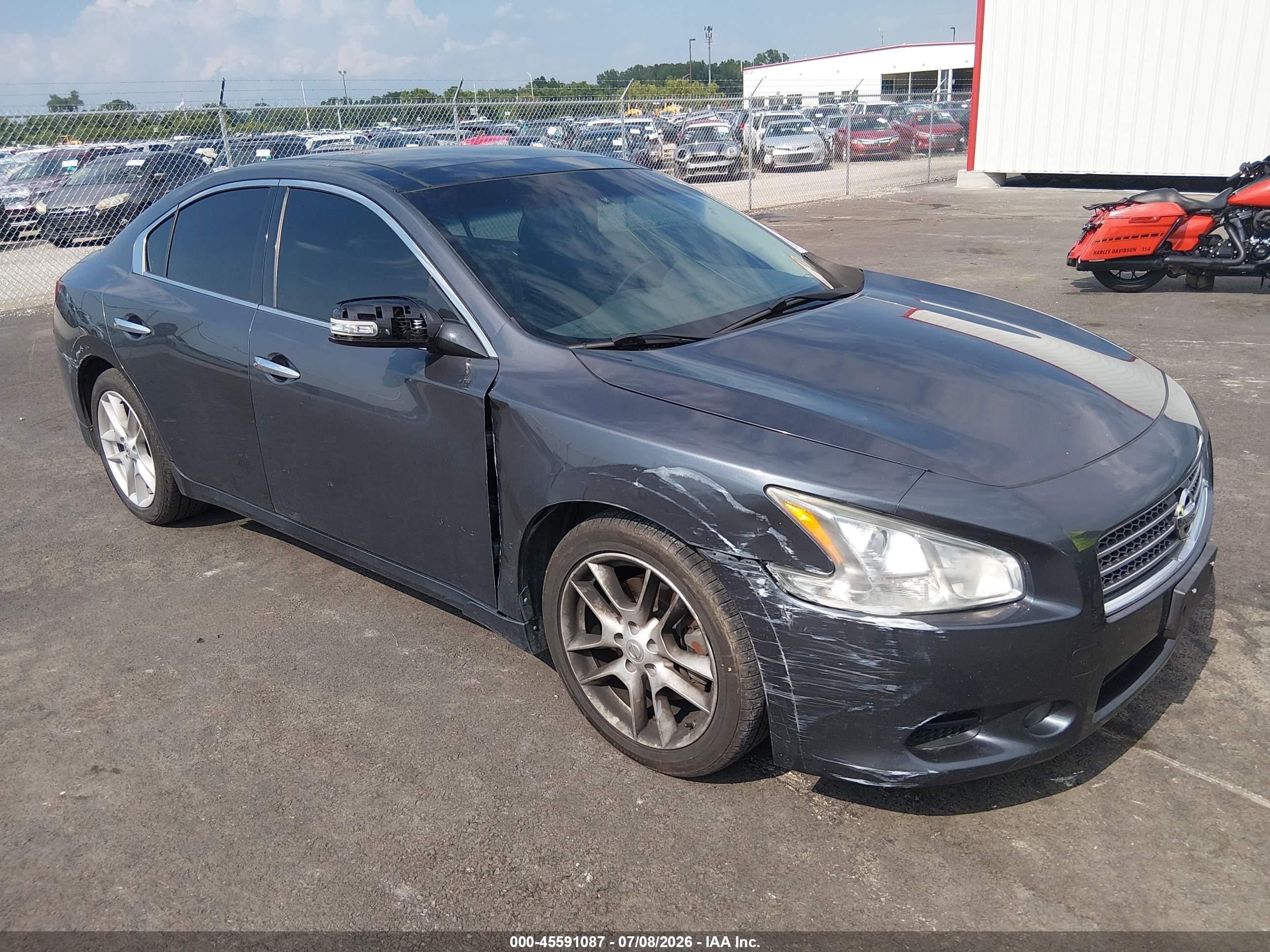 2009 Nissan Maxima 3.5 Sv Gray vin: 1N4AA51EX9C849949