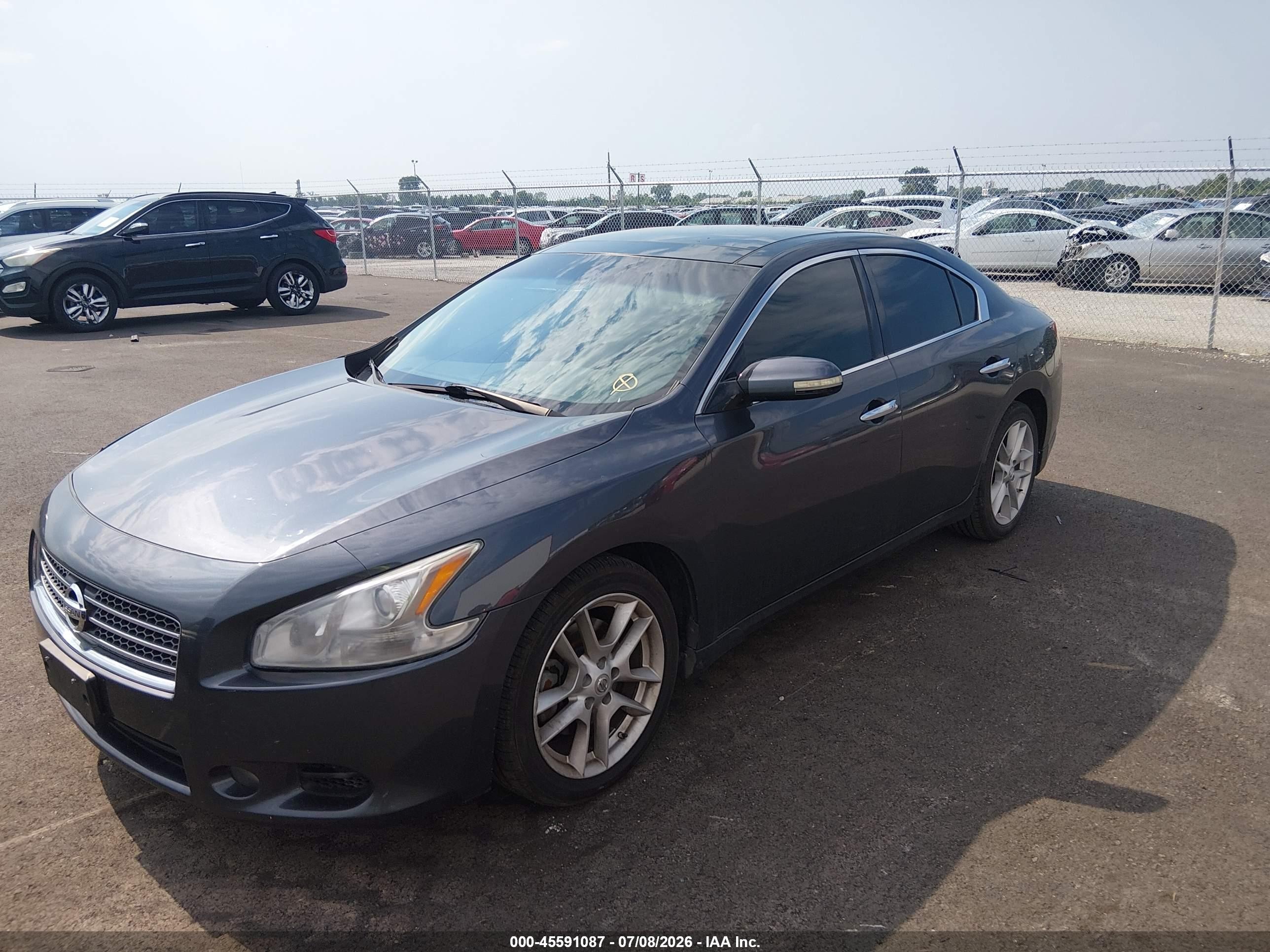 2009 Nissan Maxima 3.5 Sv Gray vin: 1N4AA51EX9C849949