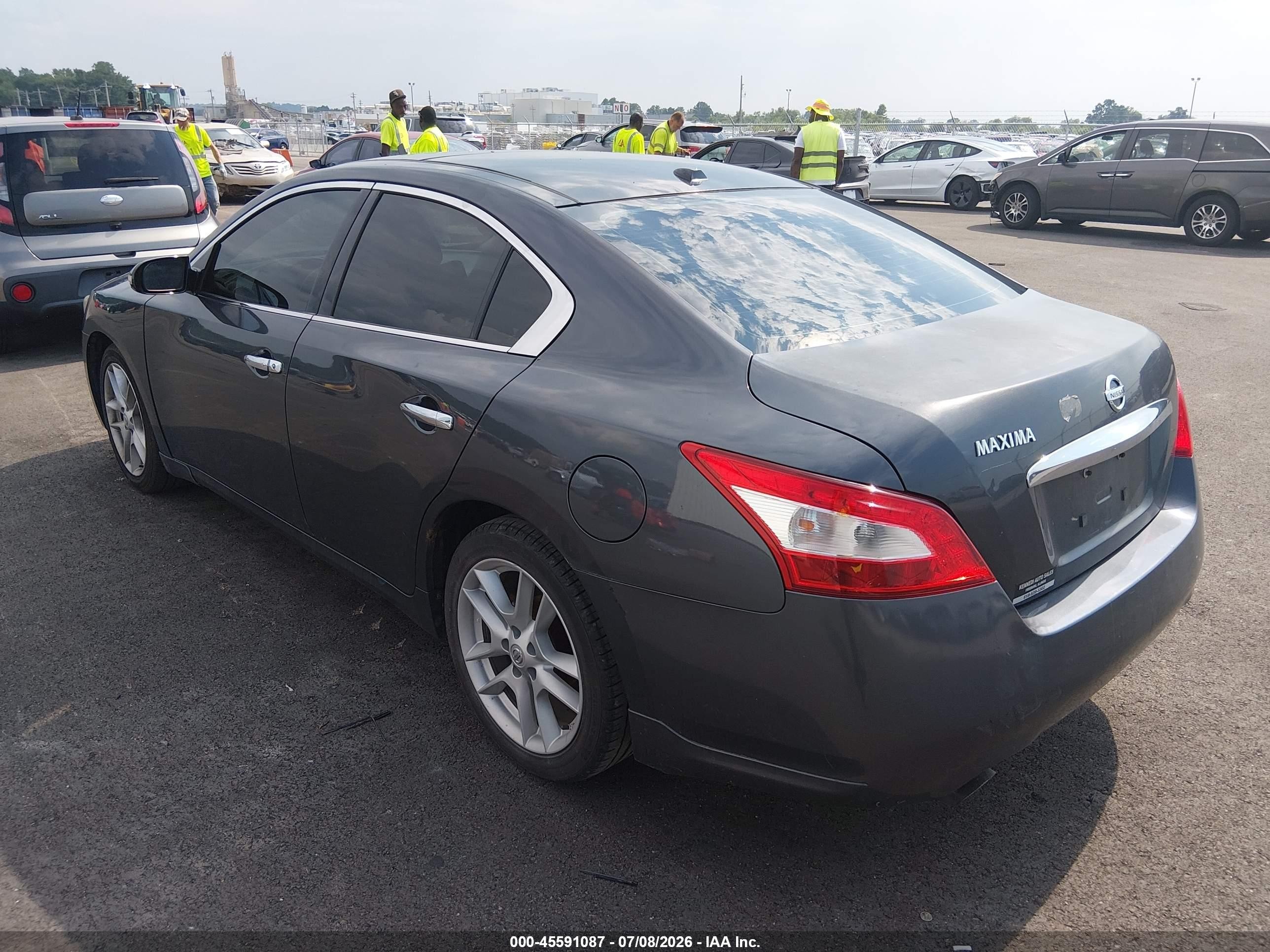 2009 Nissan Maxima 3.5 Sv Gray vin: 1N4AA51EX9C849949