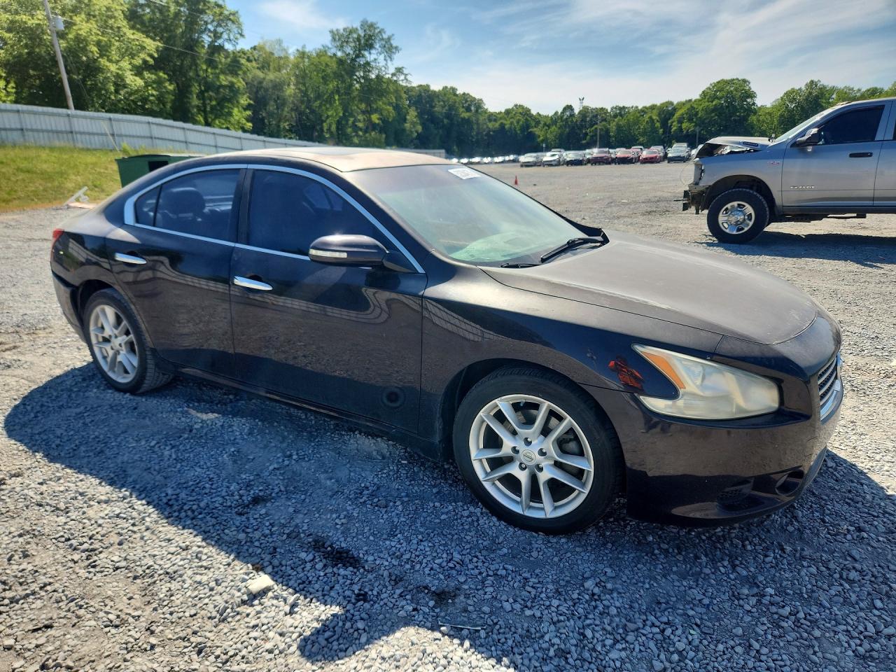 2010 Nissan Maxima 3.5 S Purple vin: 1N4AA5AP0AC801687