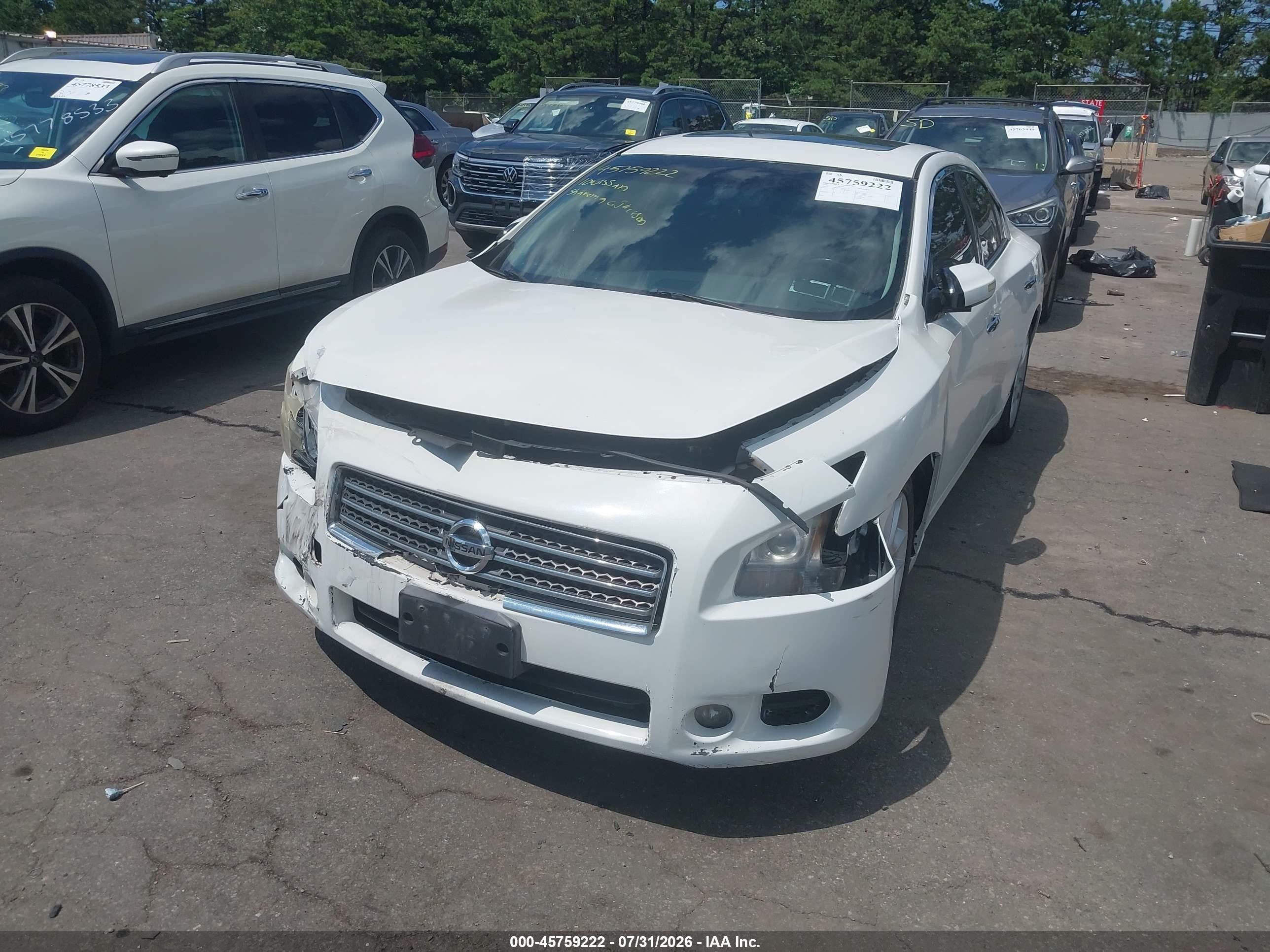 2010 Nissan Maxima 3.5 Sv White vin: 1N4AA5AP0AC819347