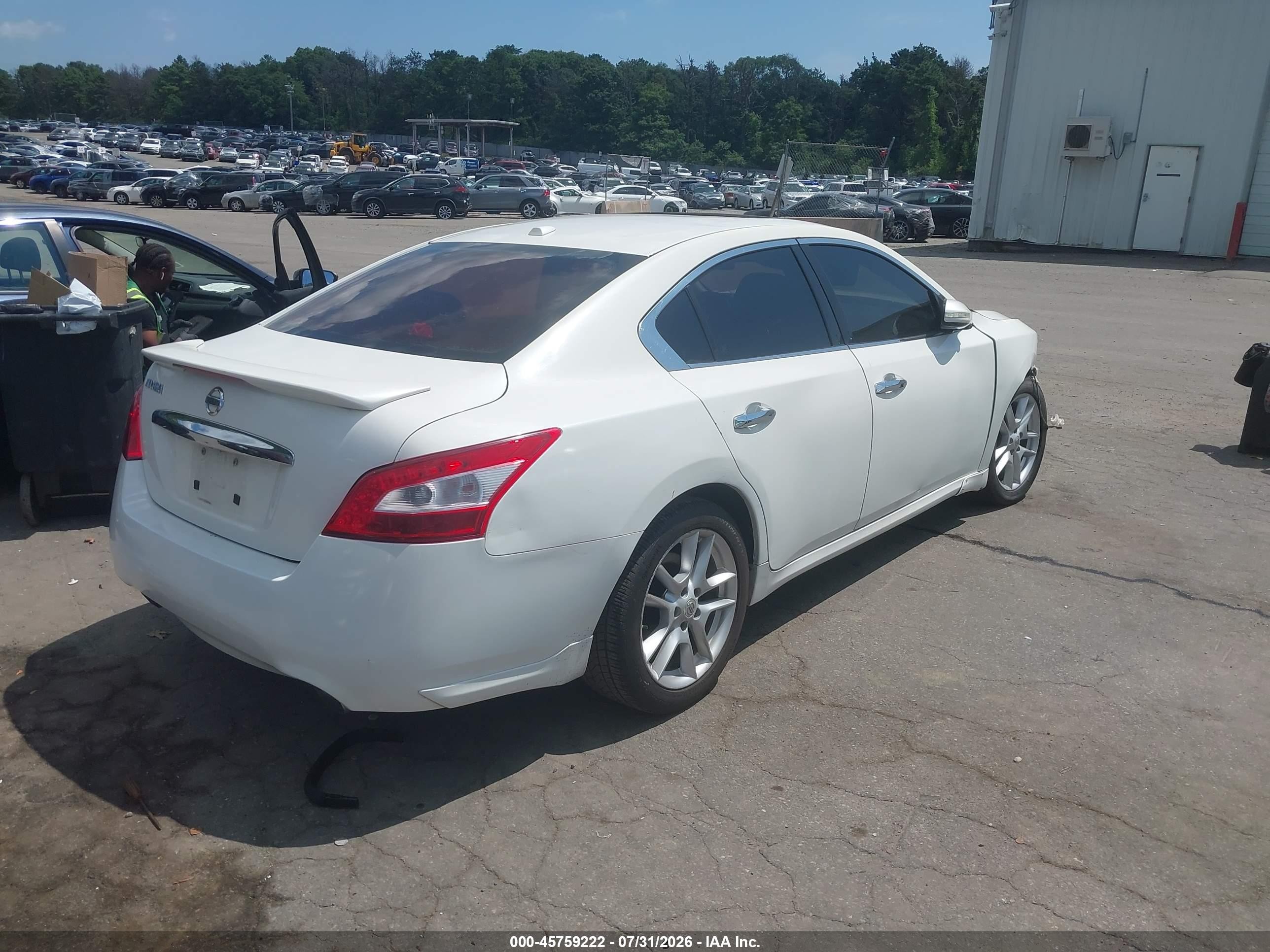 2010 Nissan Maxima 3.5 Sv White vin: 1N4AA5AP0AC819347