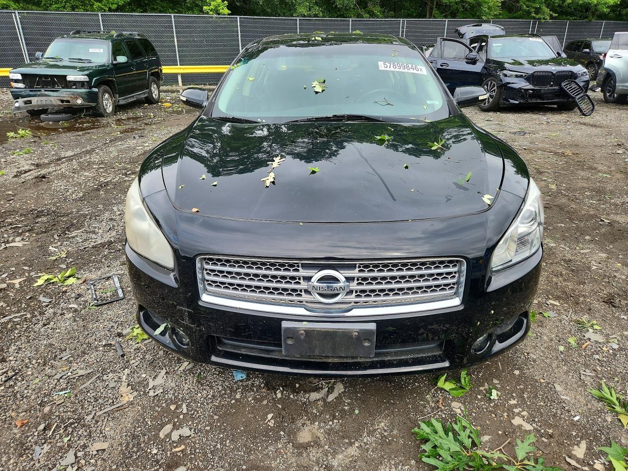 2010 Nissan Maxima 3.5 S Black vin: 1N4AA5AP0AC831546
