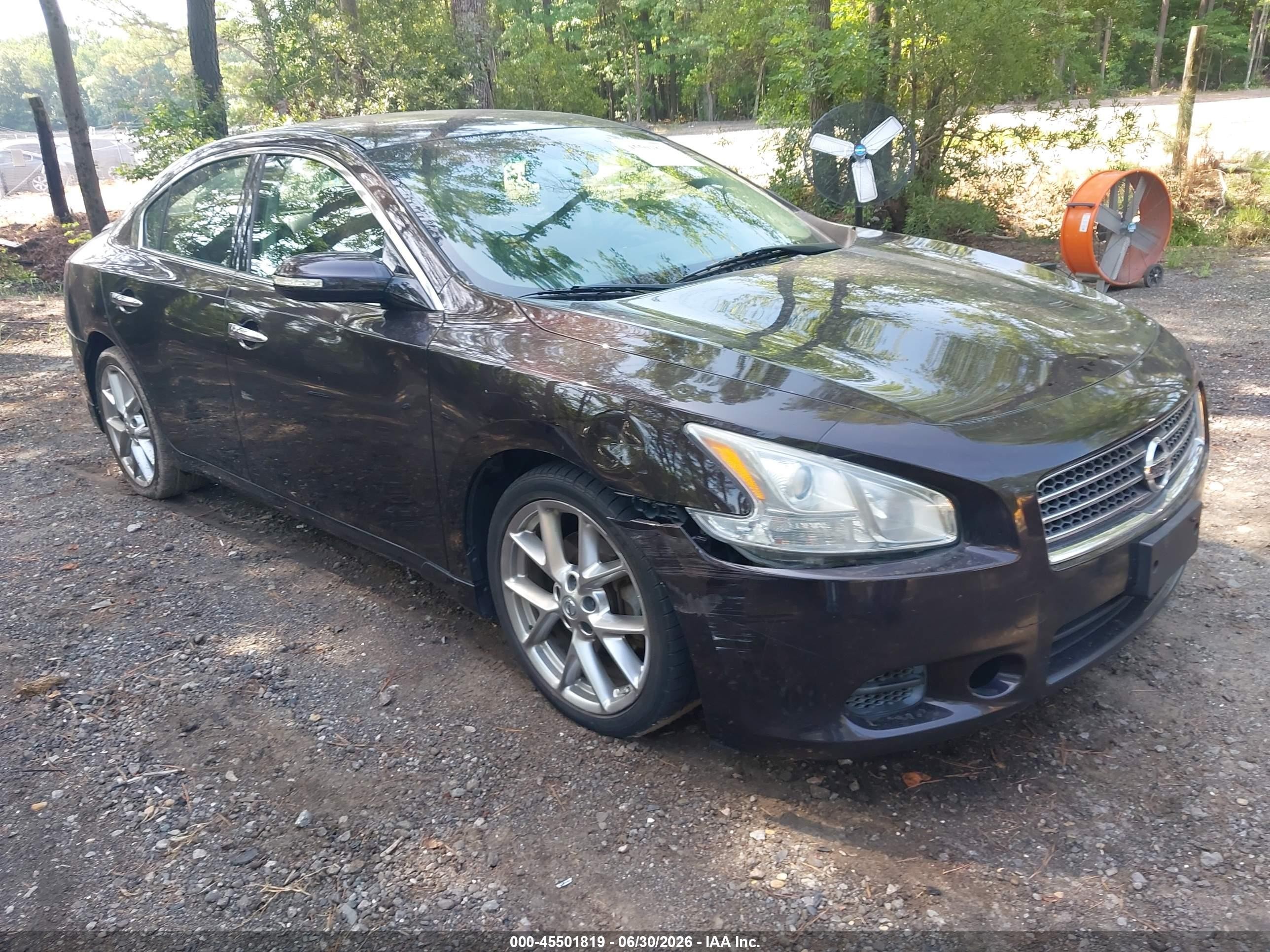 2010 Nissan Maxima 3.5 Sv Purple vin: 1N4AA5AP0AC872095