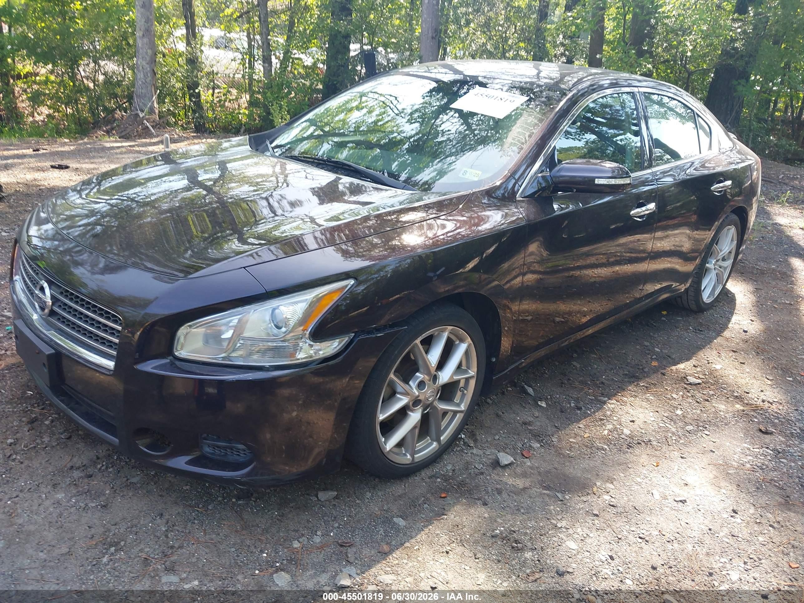 2010 Nissan Maxima 3.5 Sv Purple vin: 1N4AA5AP0AC872095