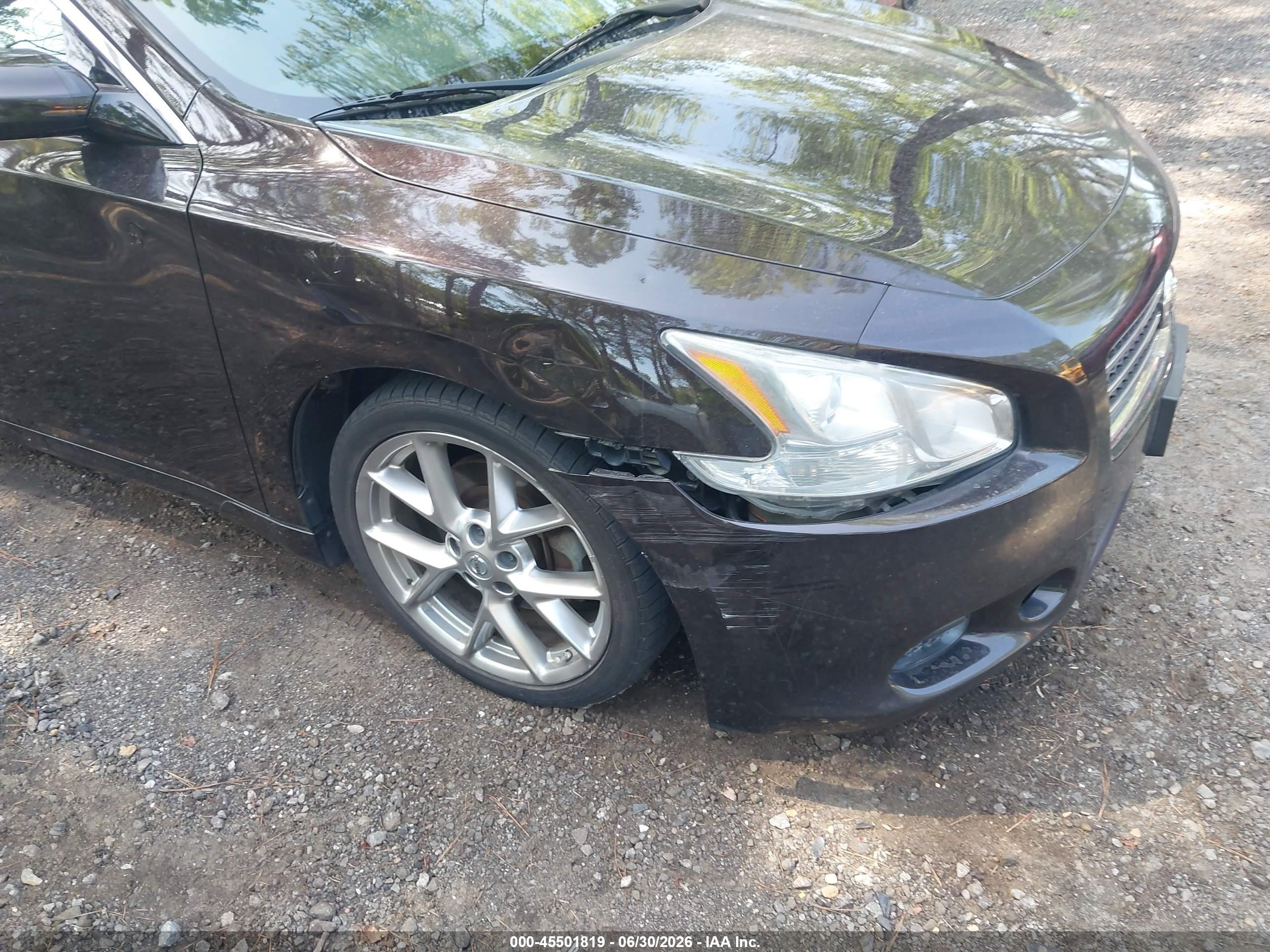 2010 Nissan Maxima 3.5 Sv Purple vin: 1N4AA5AP0AC872095