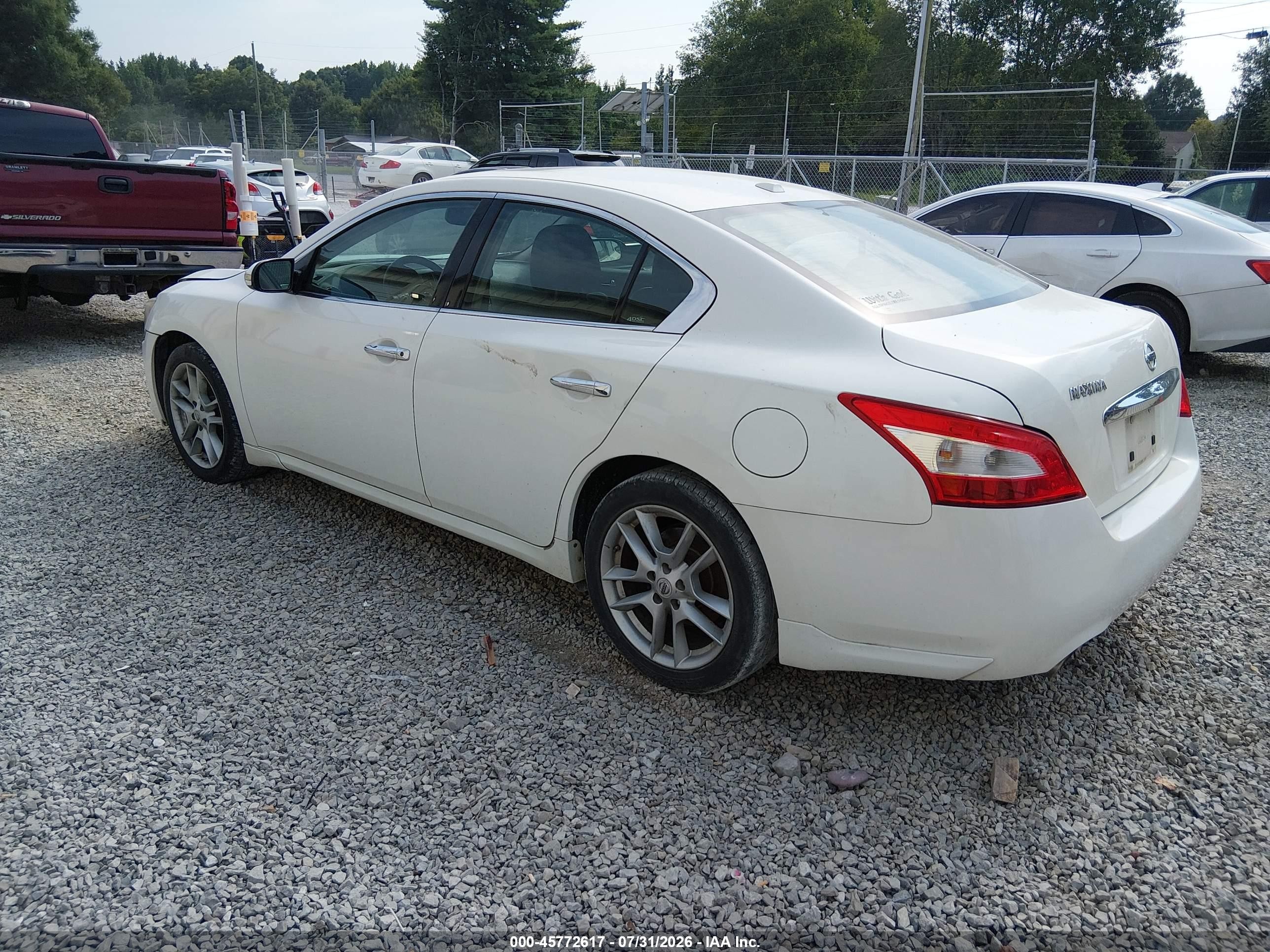 2011 Nissan Maxima 3.5 Sv White vin: 1N4AA5AP0BC803487