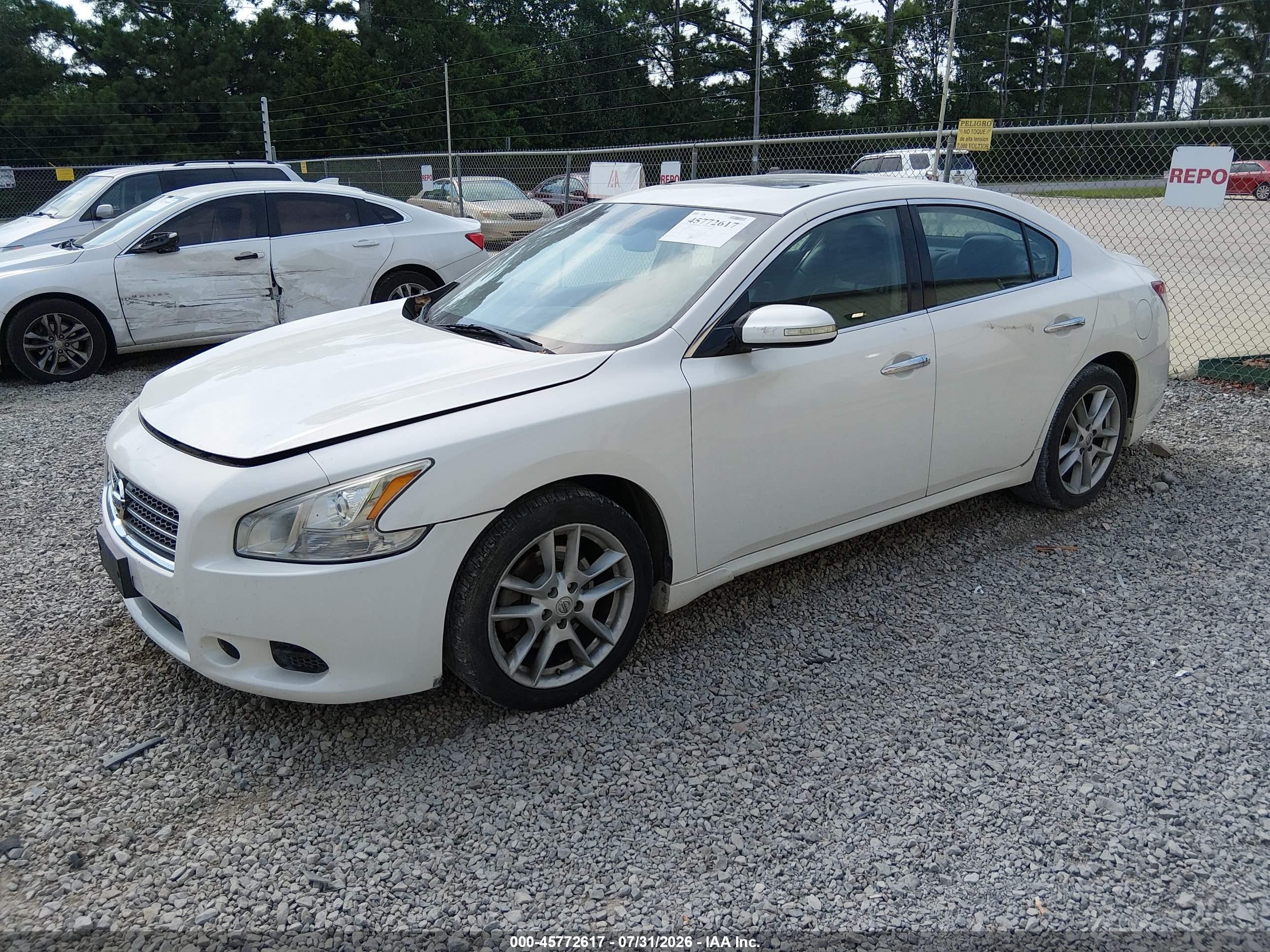2011 Nissan Maxima 3.5 Sv White vin: 1N4AA5AP0BC803487