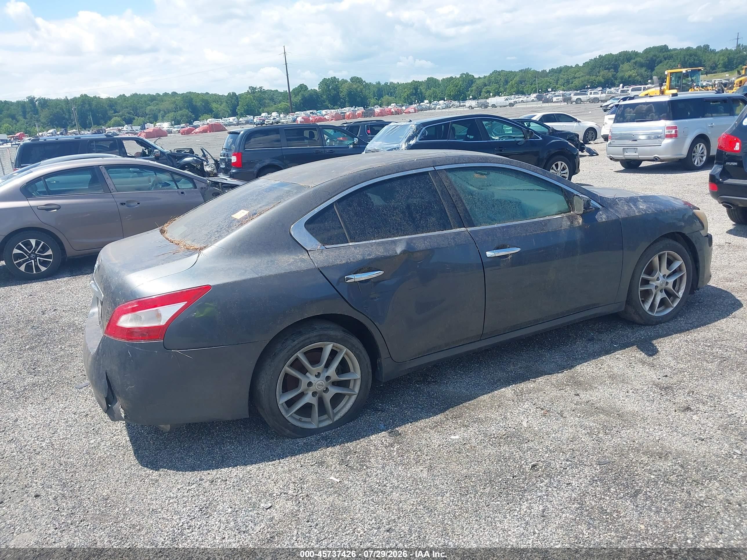 2011 Nissan Maxima 3.5 S Gray vin: 1N4AA5AP0BC830205