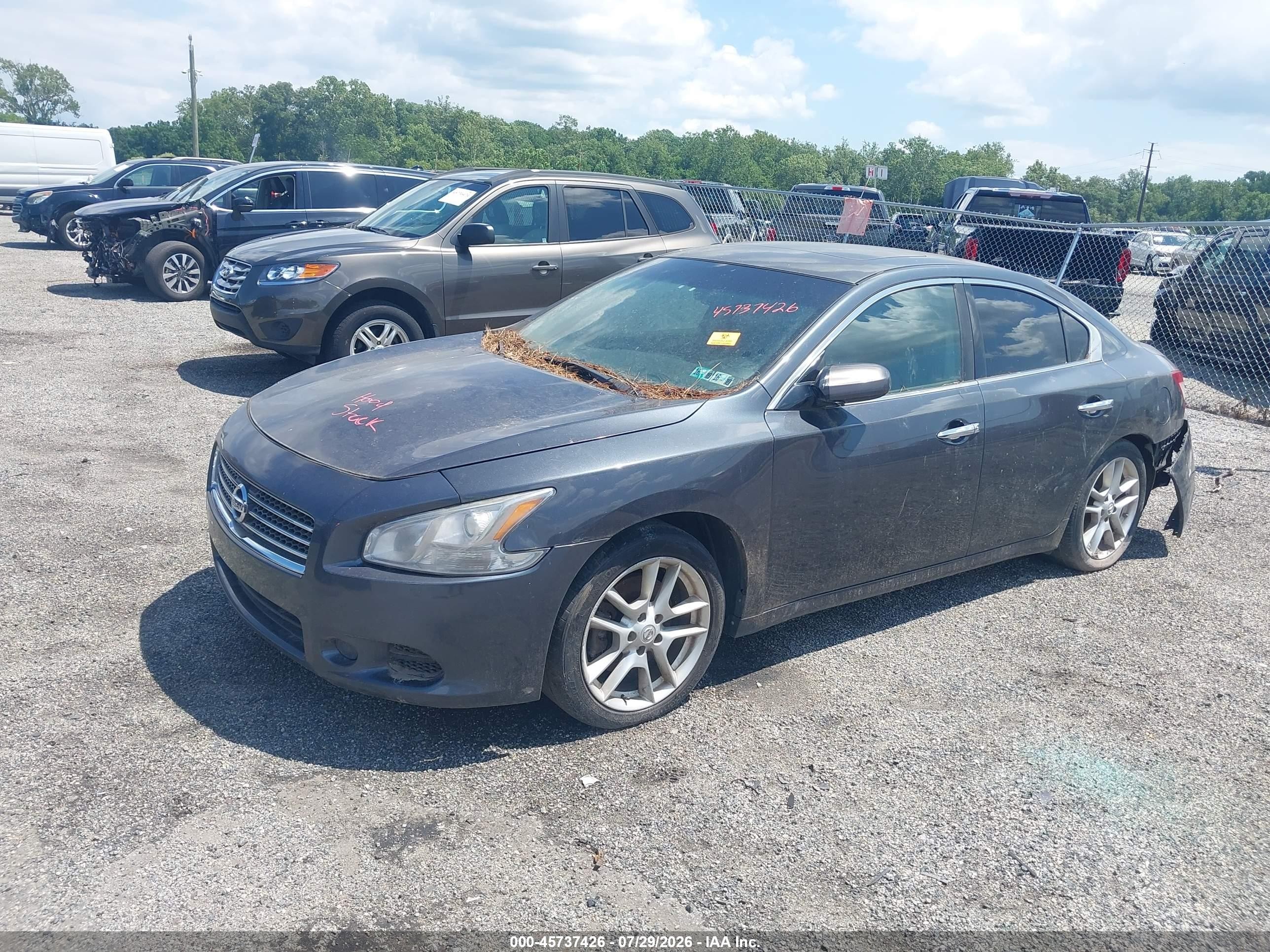 2011 Nissan Maxima 3.5 S Gray vin: 1N4AA5AP0BC830205