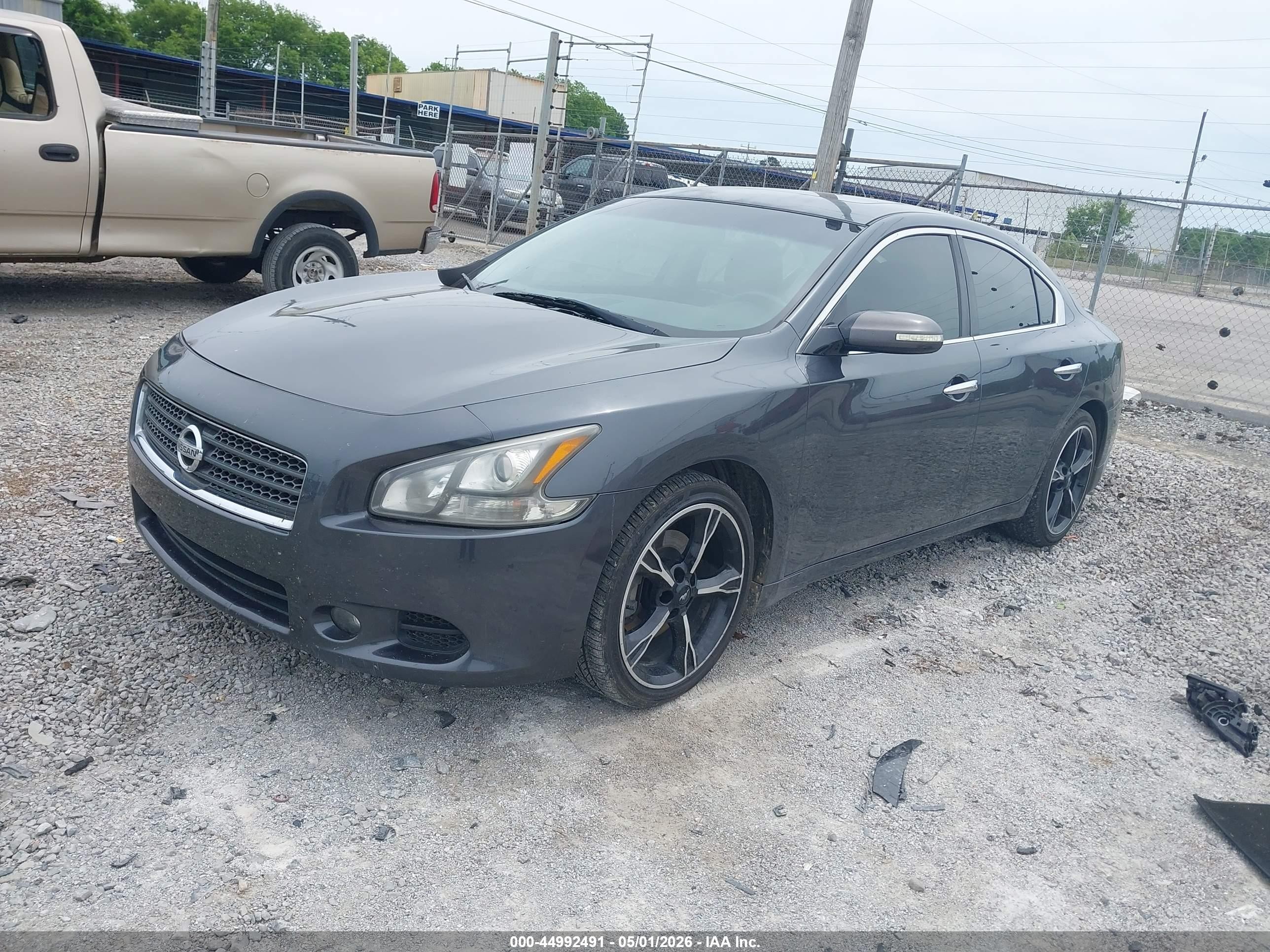 2011 Nissan Maxima 3.5 Sv Gray vin: 1N4AA5AP0BC837039