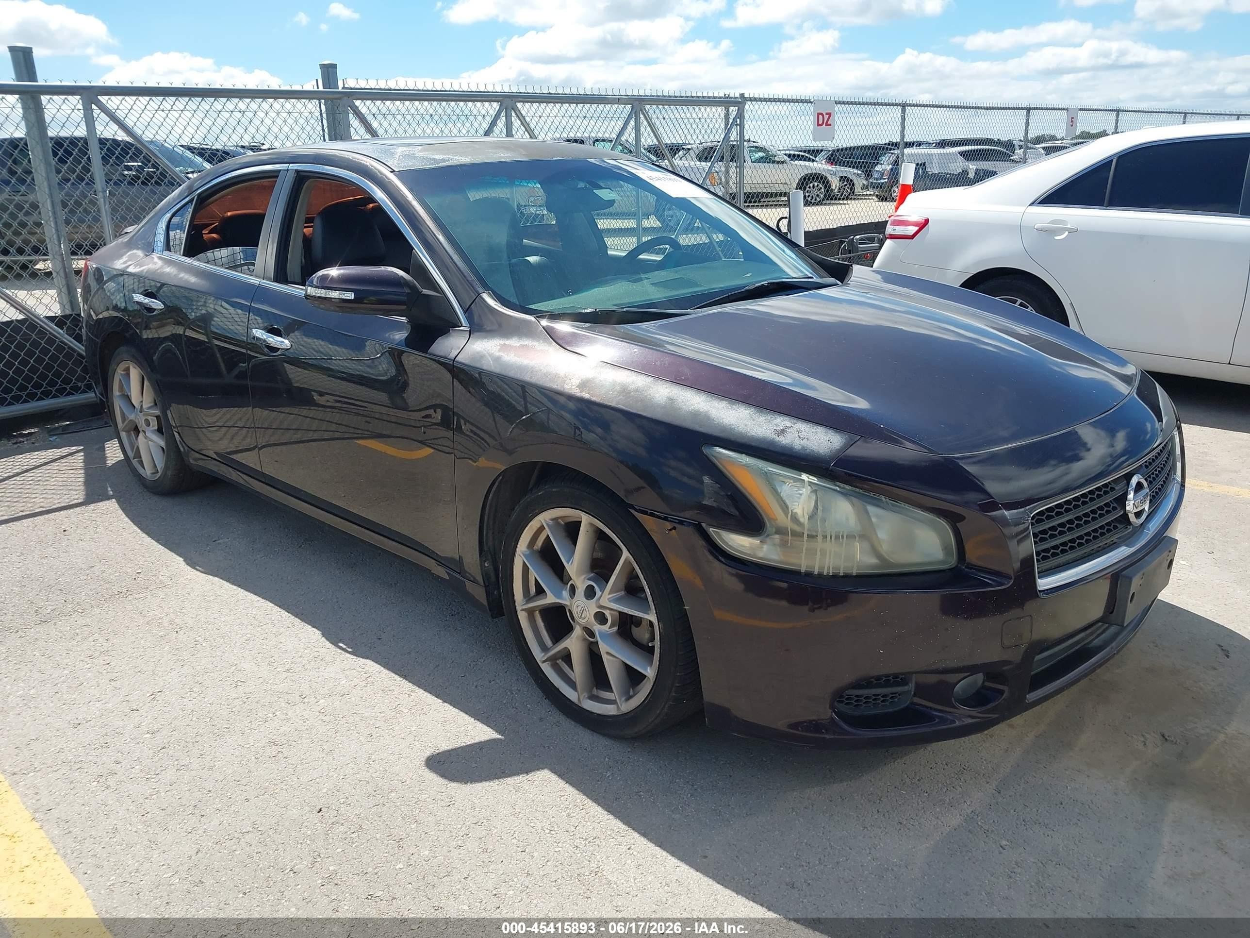 2011 Nissan Maxima 3.5 Sv Purple vin: 1N4AA5AP0BC840846