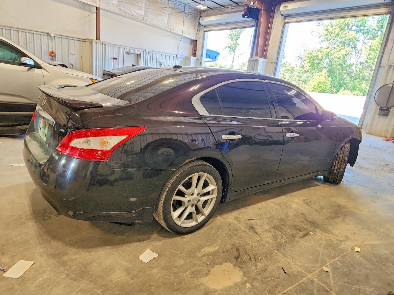 2011 Nissan Maxima S/sv Purple vin: 1N4AA5AP0BC842029