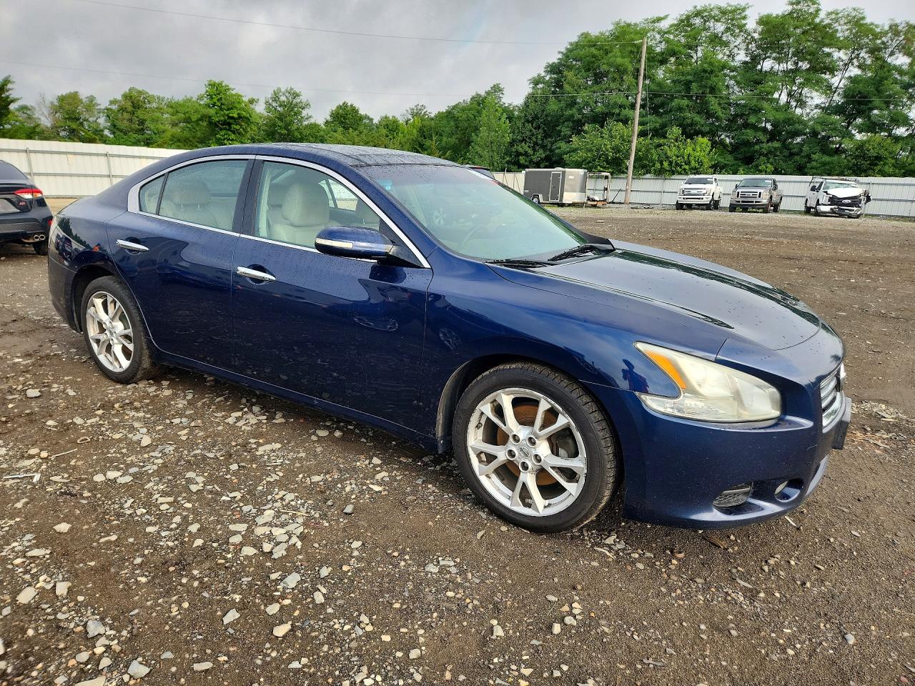 2013 Nissan Maxima 3.5 Sv Blue vin: 1N4AA5AP0DC822026