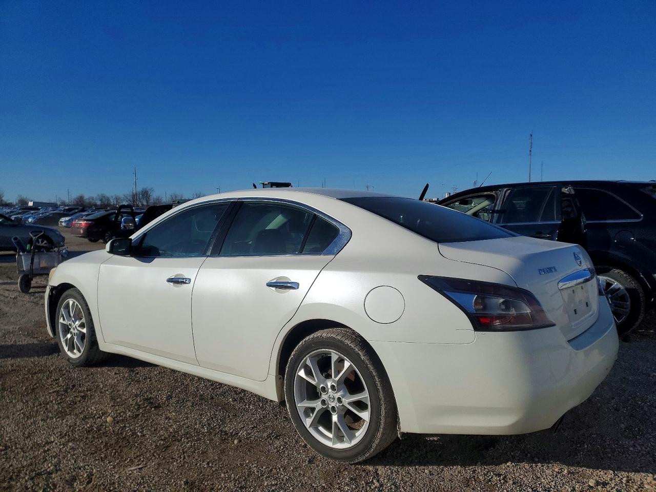 2014 Nissan Maxima White vin: 1N4AA5AP0EC481941