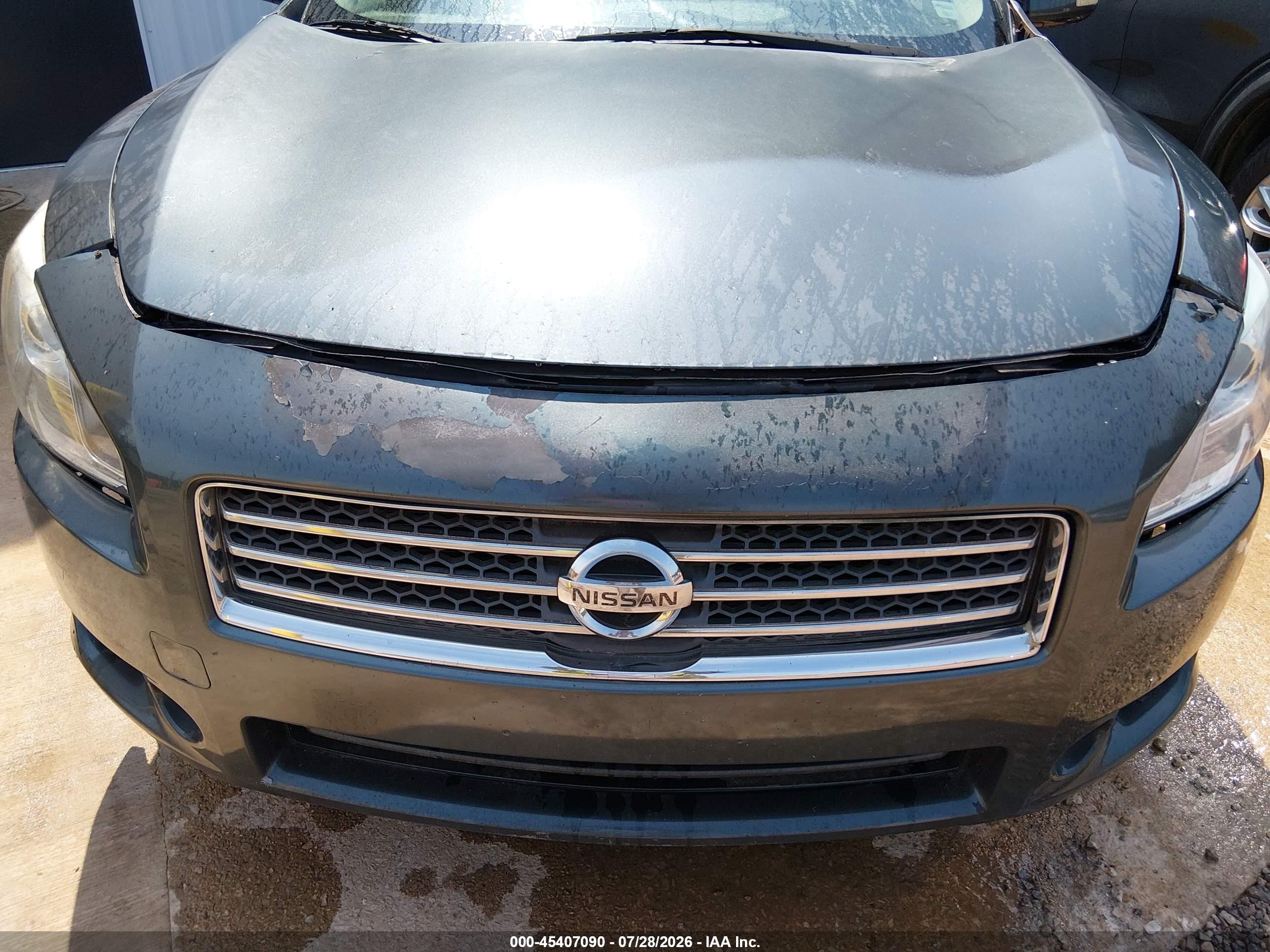 2010 Nissan Maxima 3.5 Sv Gray vin: 1N4AA5AP1AC815100