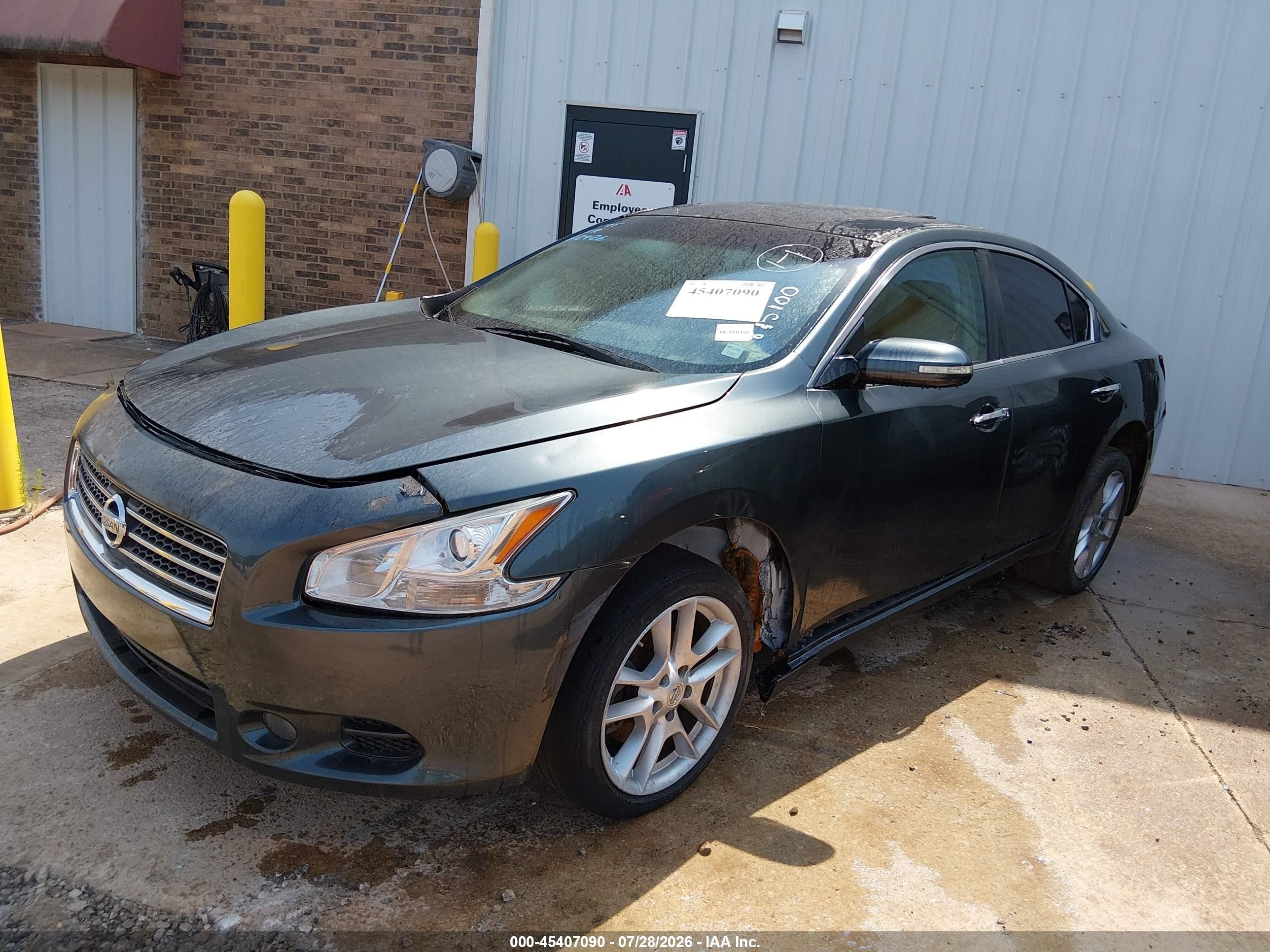 2010 Nissan Maxima 3.5 Sv Gray vin: 1N4AA5AP1AC815100