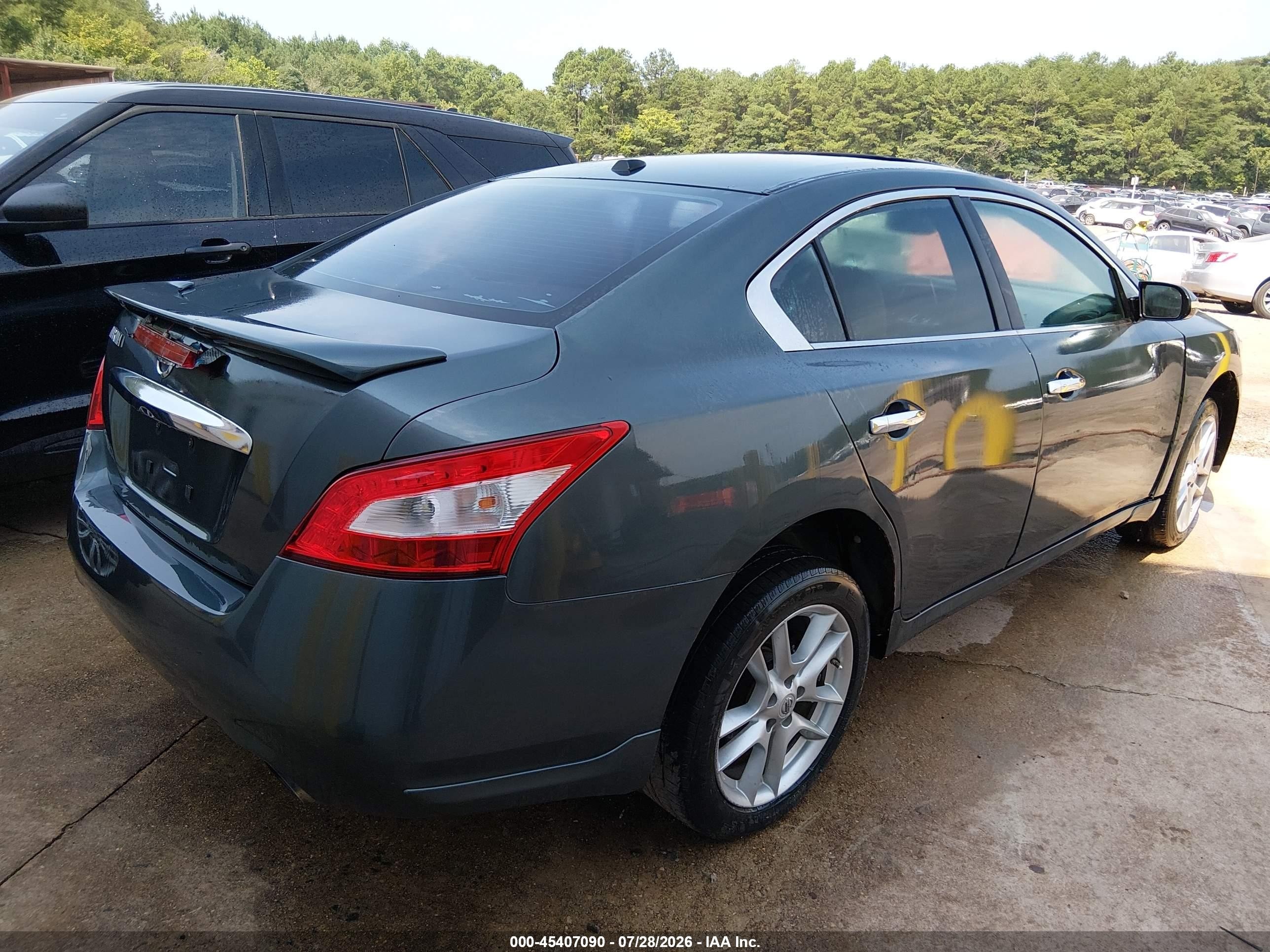 2010 Nissan Maxima 3.5 Sv Gray vin: 1N4AA5AP1AC815100