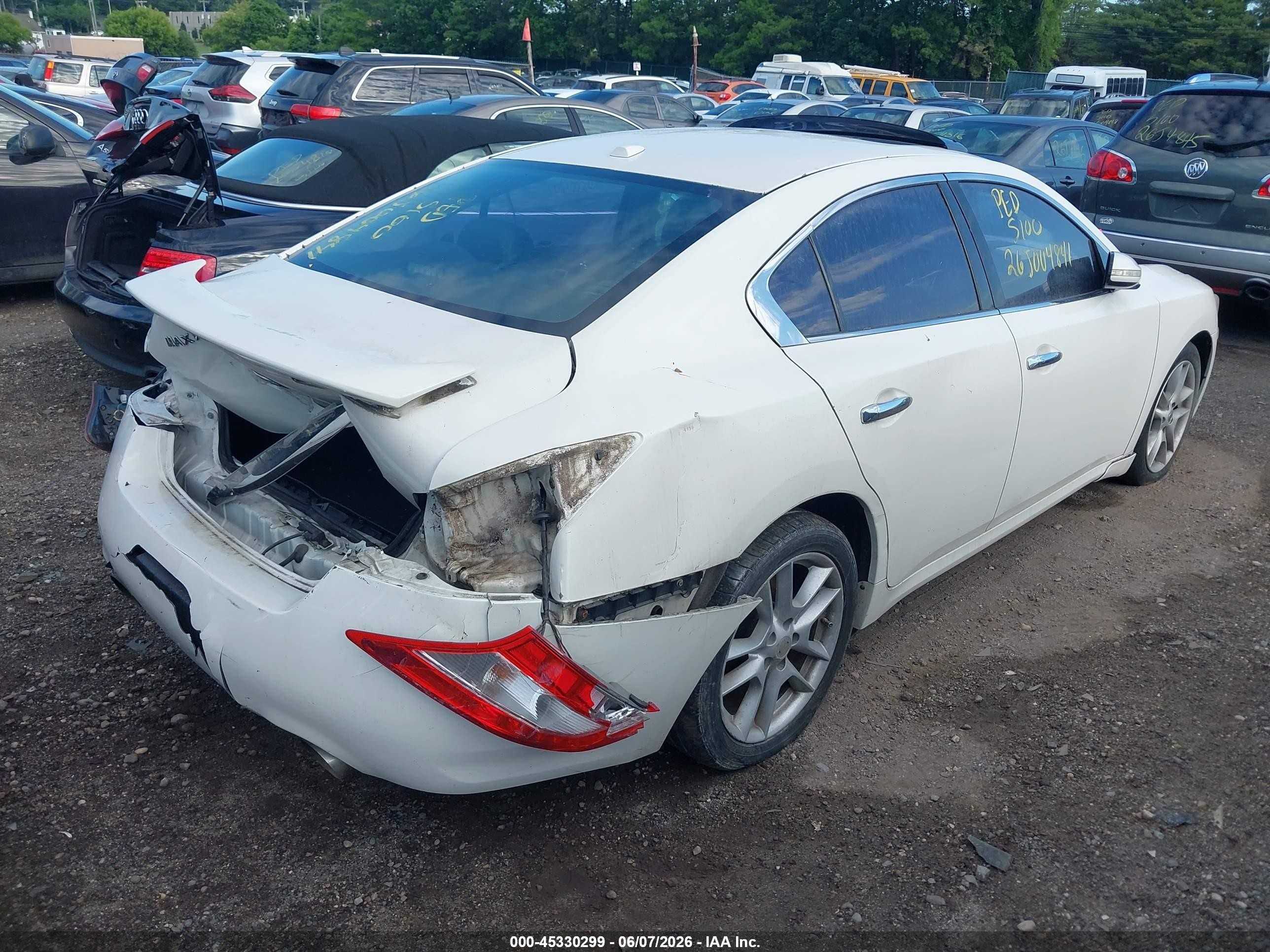 2010 Nissan Maxima 3.5 Sv Белый vin: 1N4AA5AP1AC829238