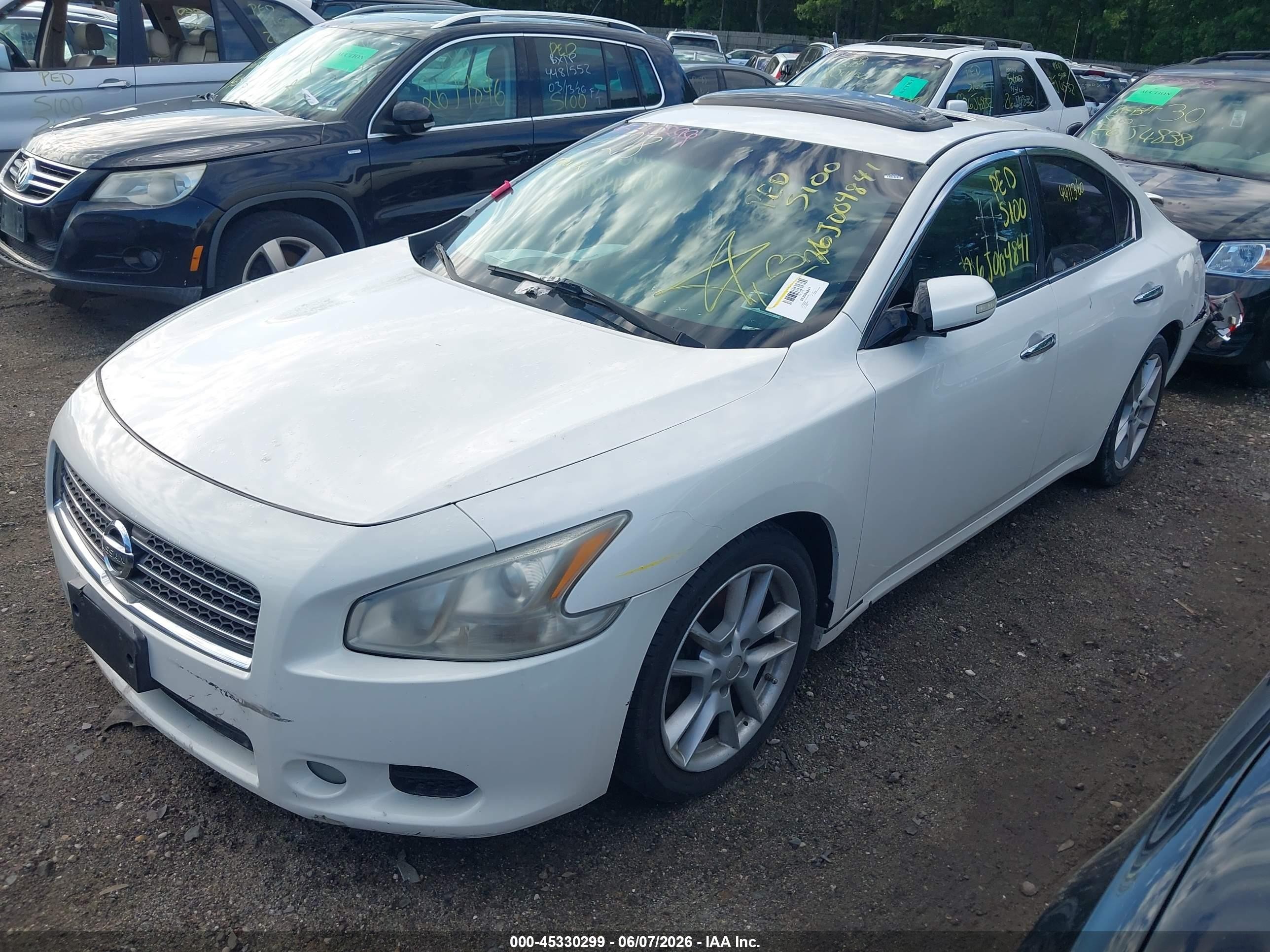 2010 Nissan Maxima 3.5 Sv Белый vin: 1N4AA5AP1AC829238