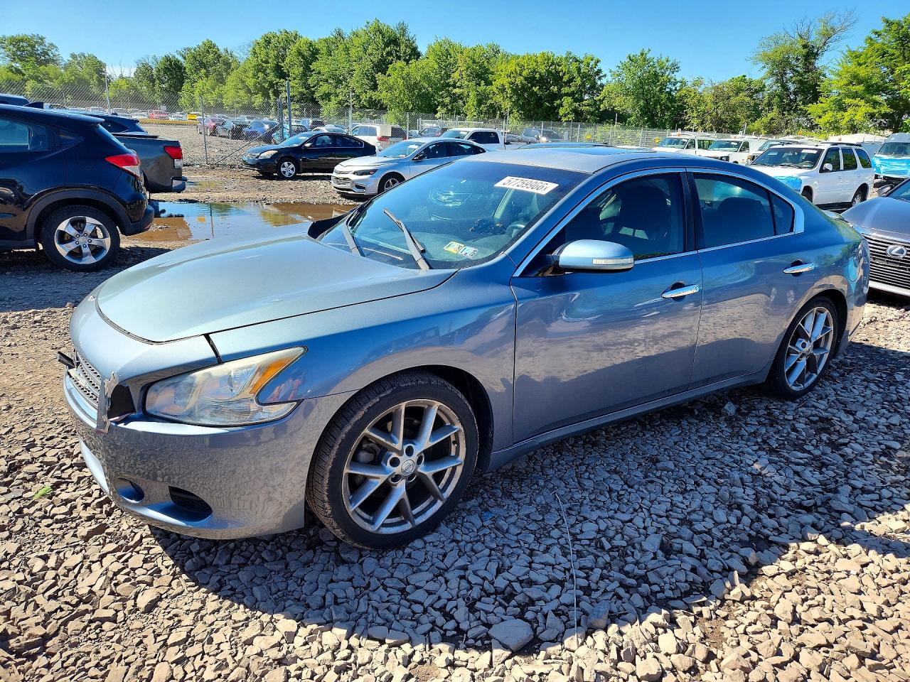 2010 Nissan Maxima 3.5 S Gray vin: 1N4AA5AP1AC836478