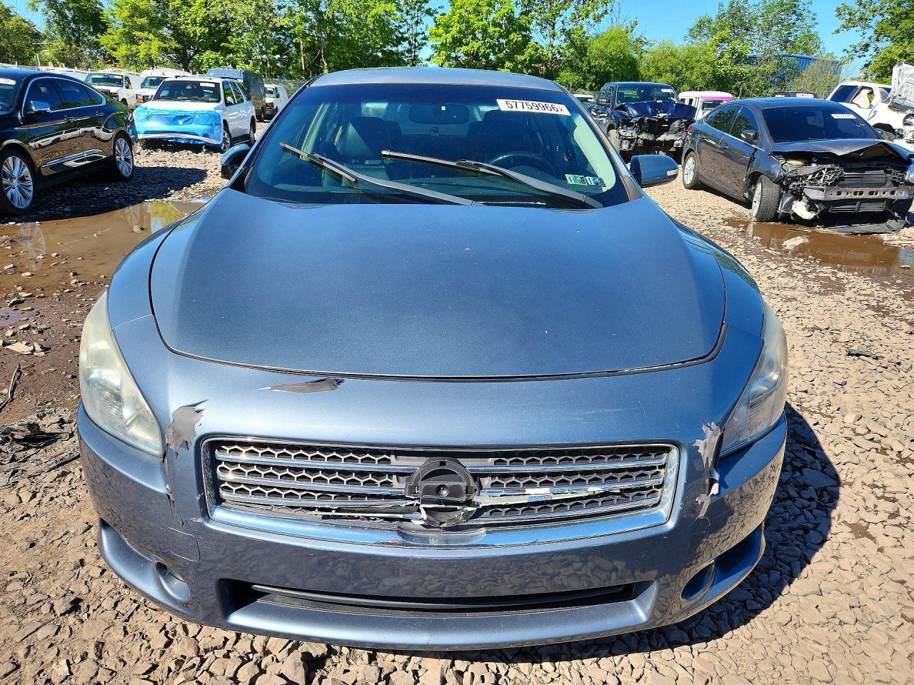 2010 Nissan Maxima 3.5 S Gray vin: 1N4AA5AP1AC836478