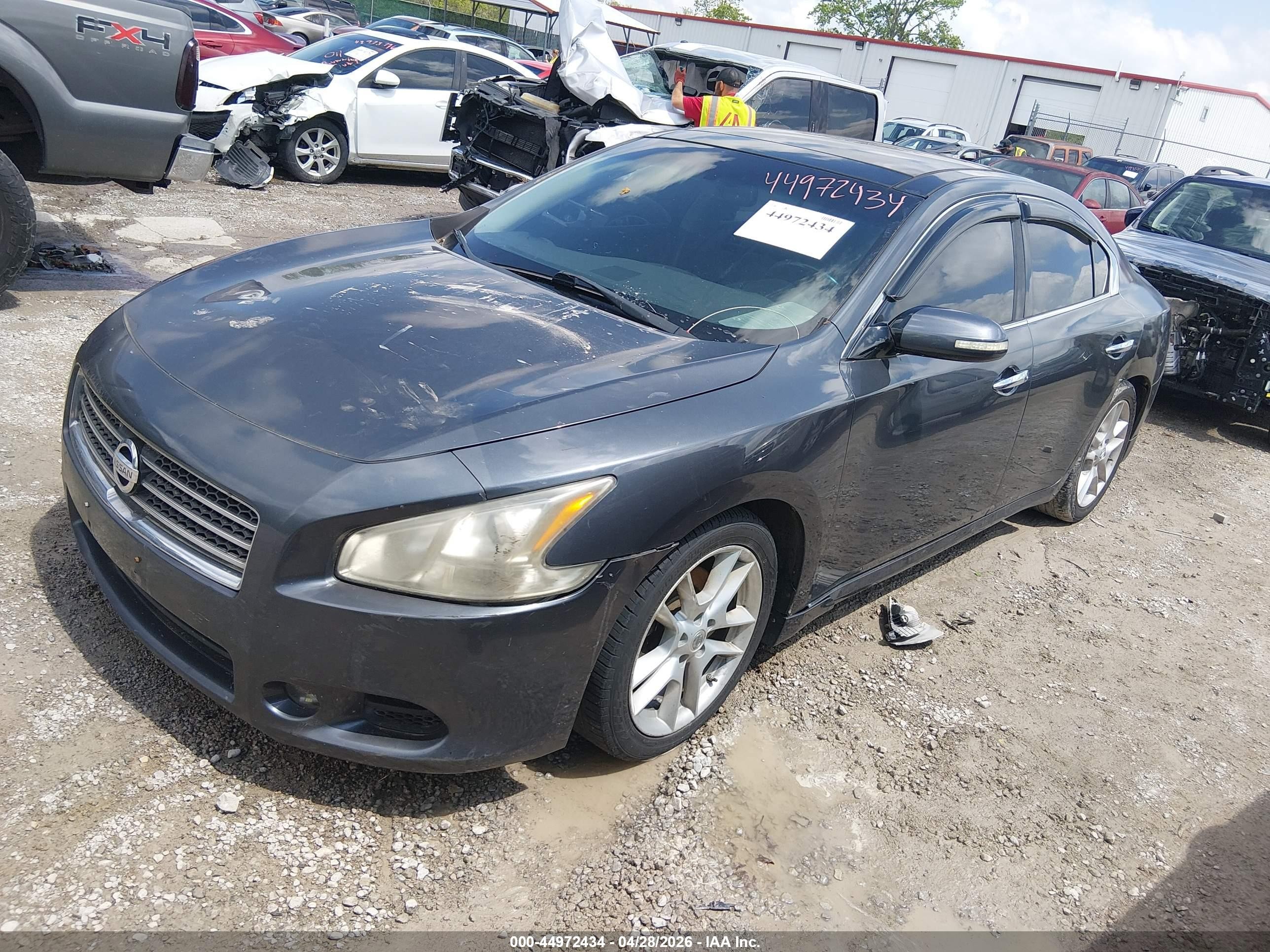 2010 Nissan Maxima 3.5 Sv Gray vin: 1N4AA5AP1AC842779