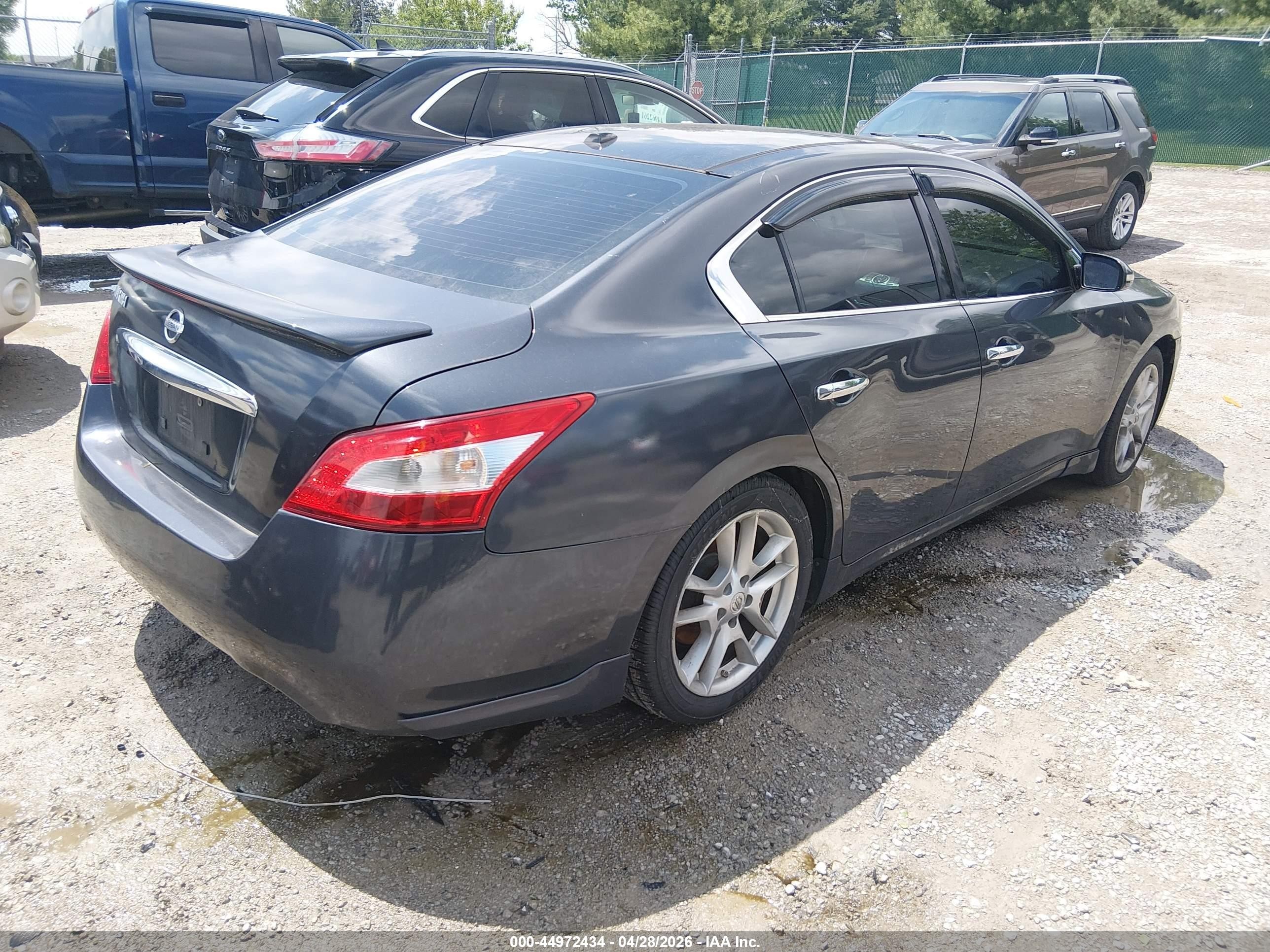 2010 Nissan Maxima 3.5 Sv Gray vin: 1N4AA5AP1AC842779