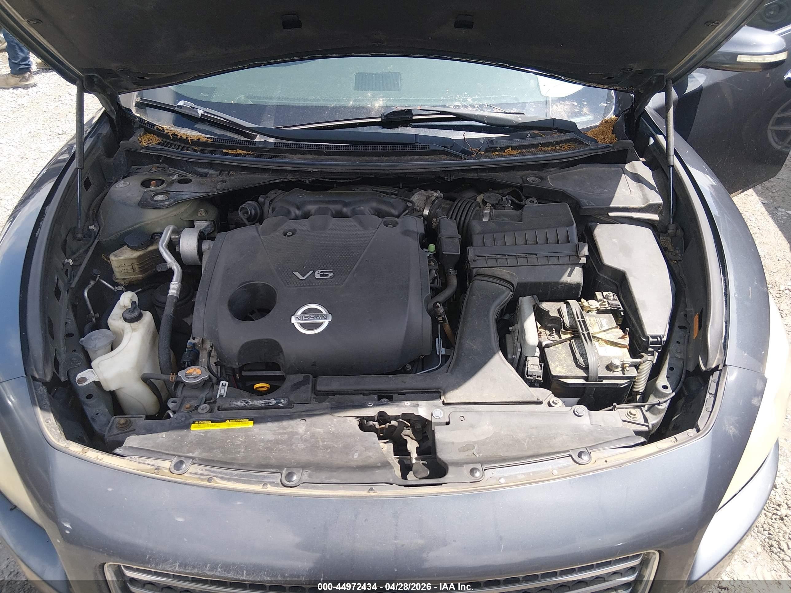 2010 Nissan Maxima 3.5 Sv Gray vin: 1N4AA5AP1AC842779