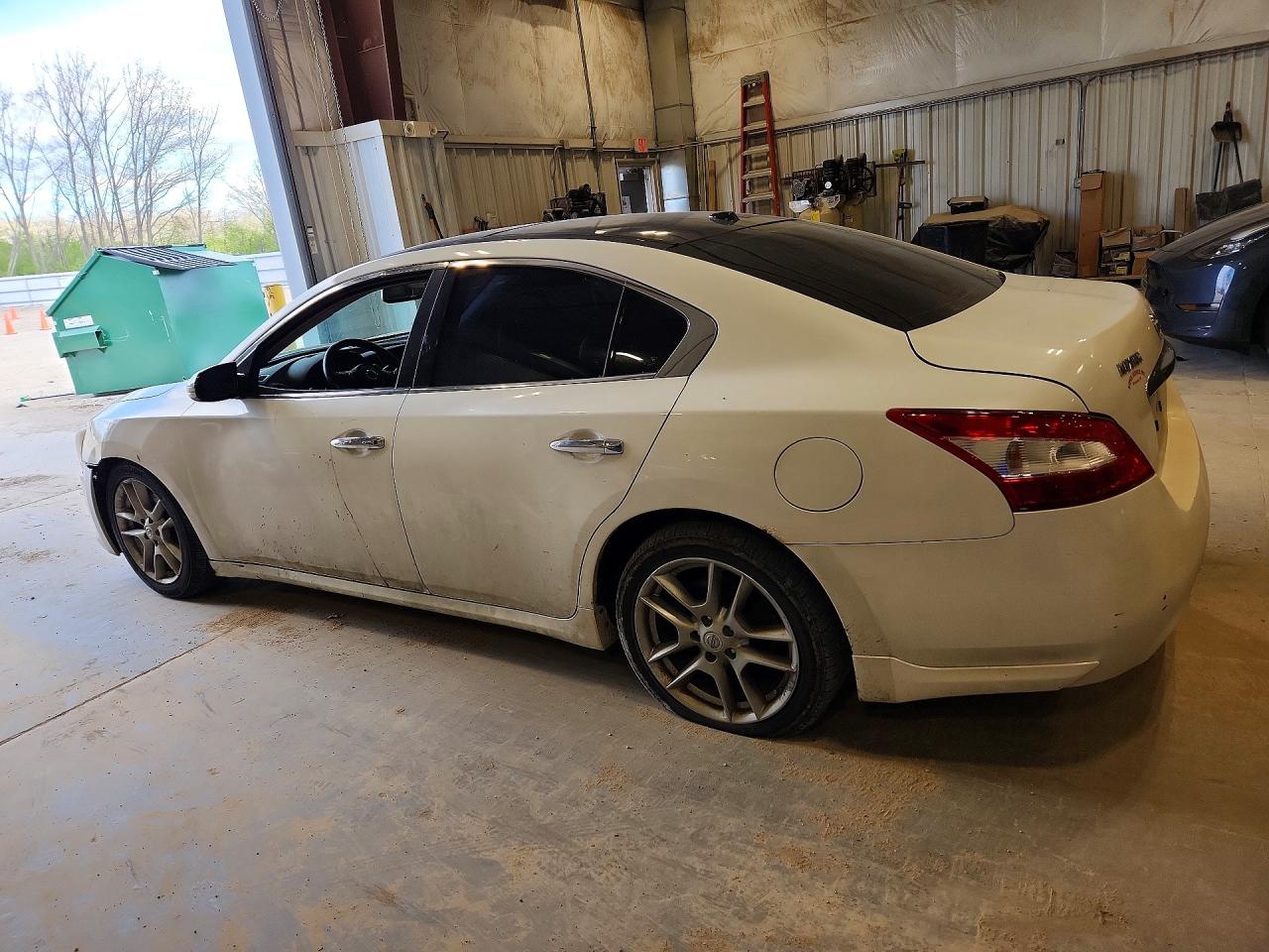 2010 Nissan Maxima 3.5 S Белый vin: 1N4AA5AP1AC847173