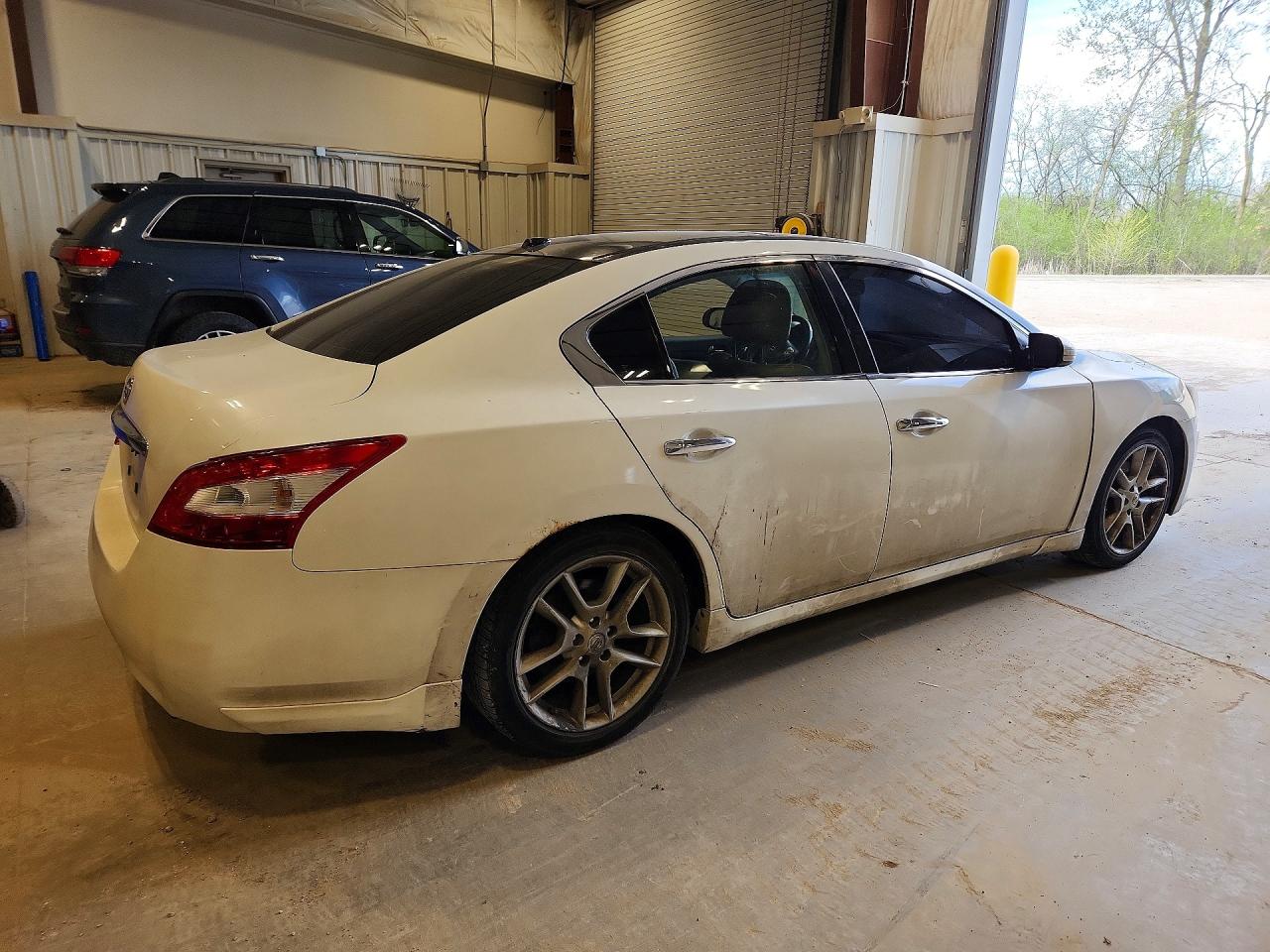 2010 Nissan Maxima 3.5 S Белый vin: 1N4AA5AP1AC847173