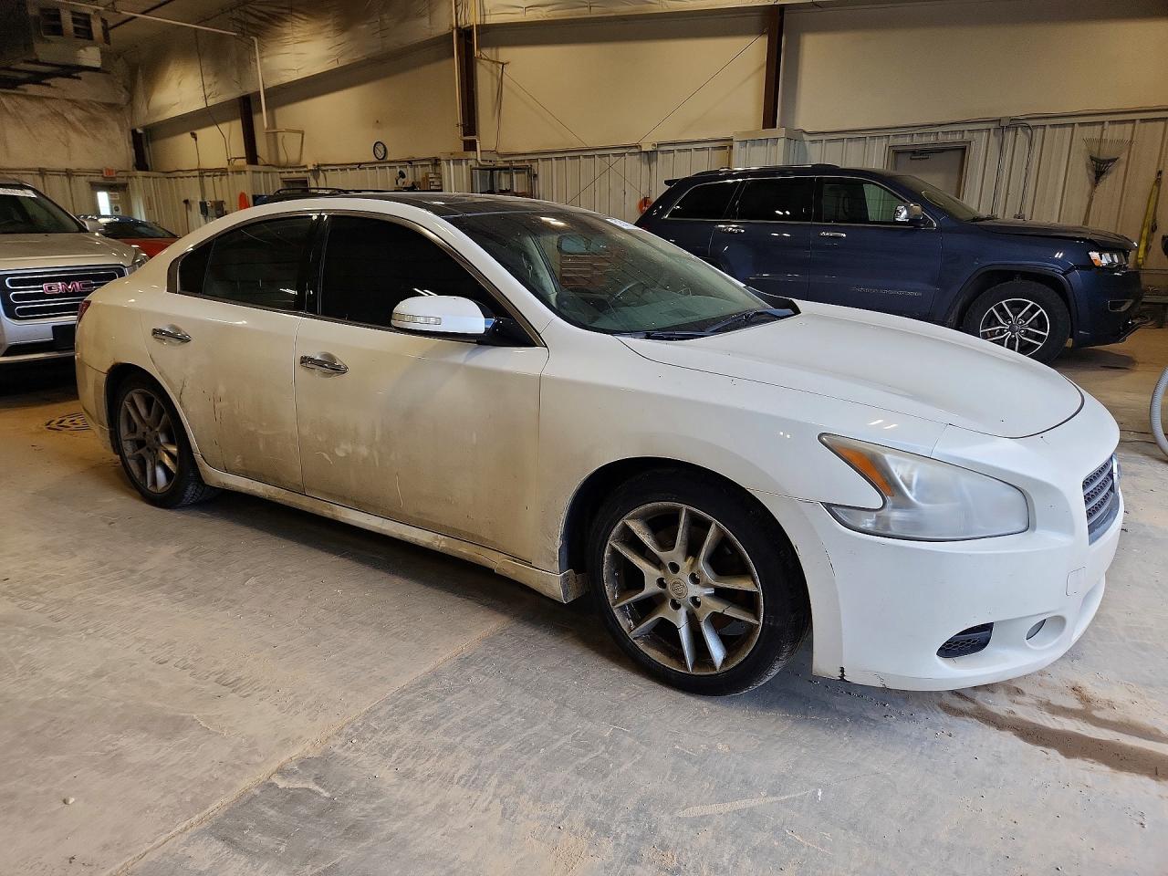 2010 Nissan Maxima 3.5 S Белый vin: 1N4AA5AP1AC847173