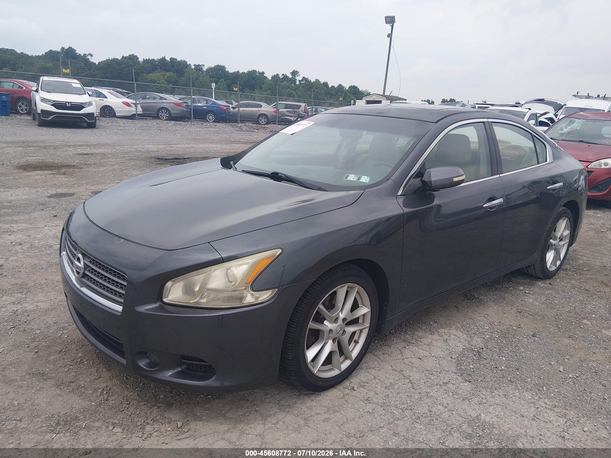 2010 Nissan Maxima 3.5 Sv Gray vin: 1N4AA5AP1AC870078